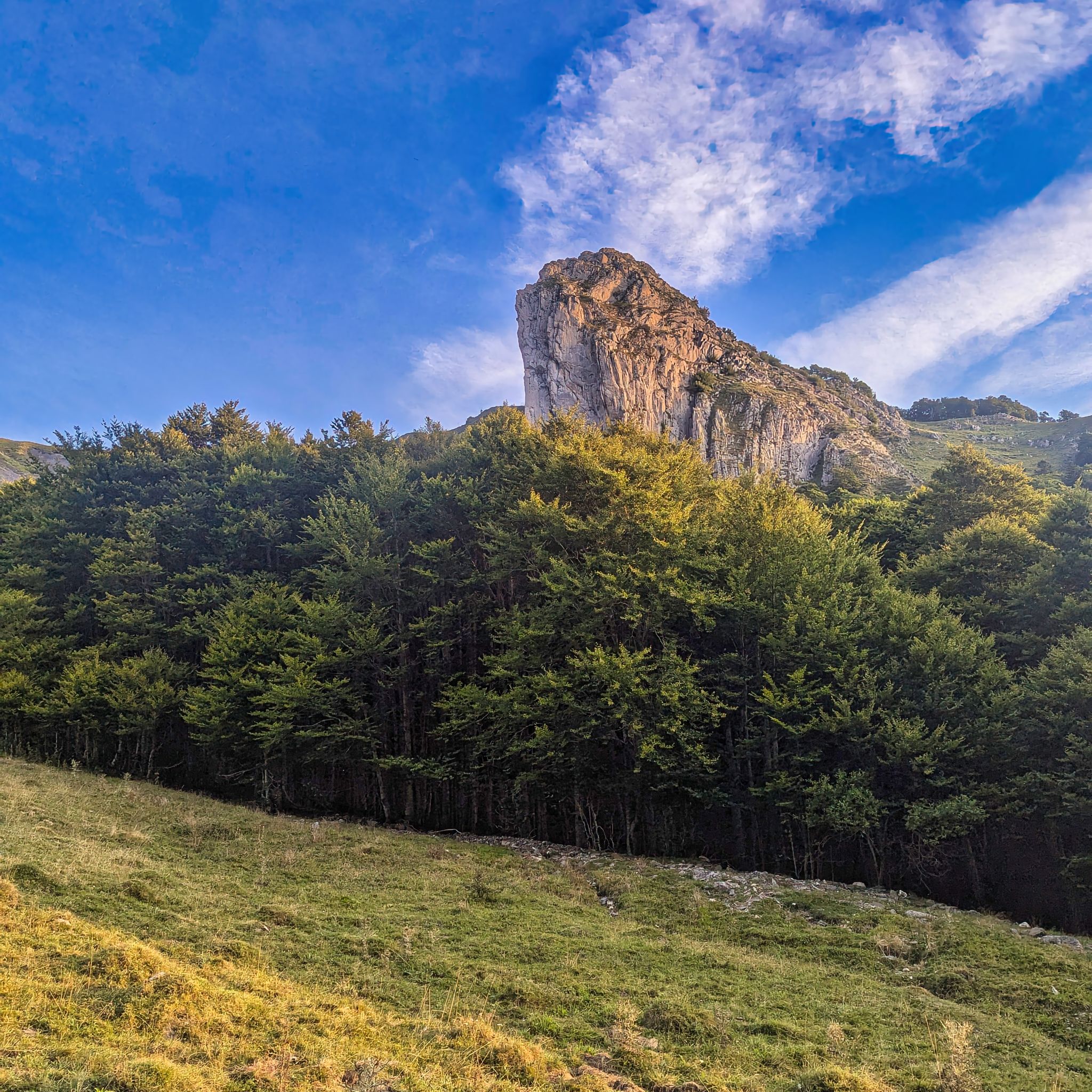 PXL 20240829 054910790