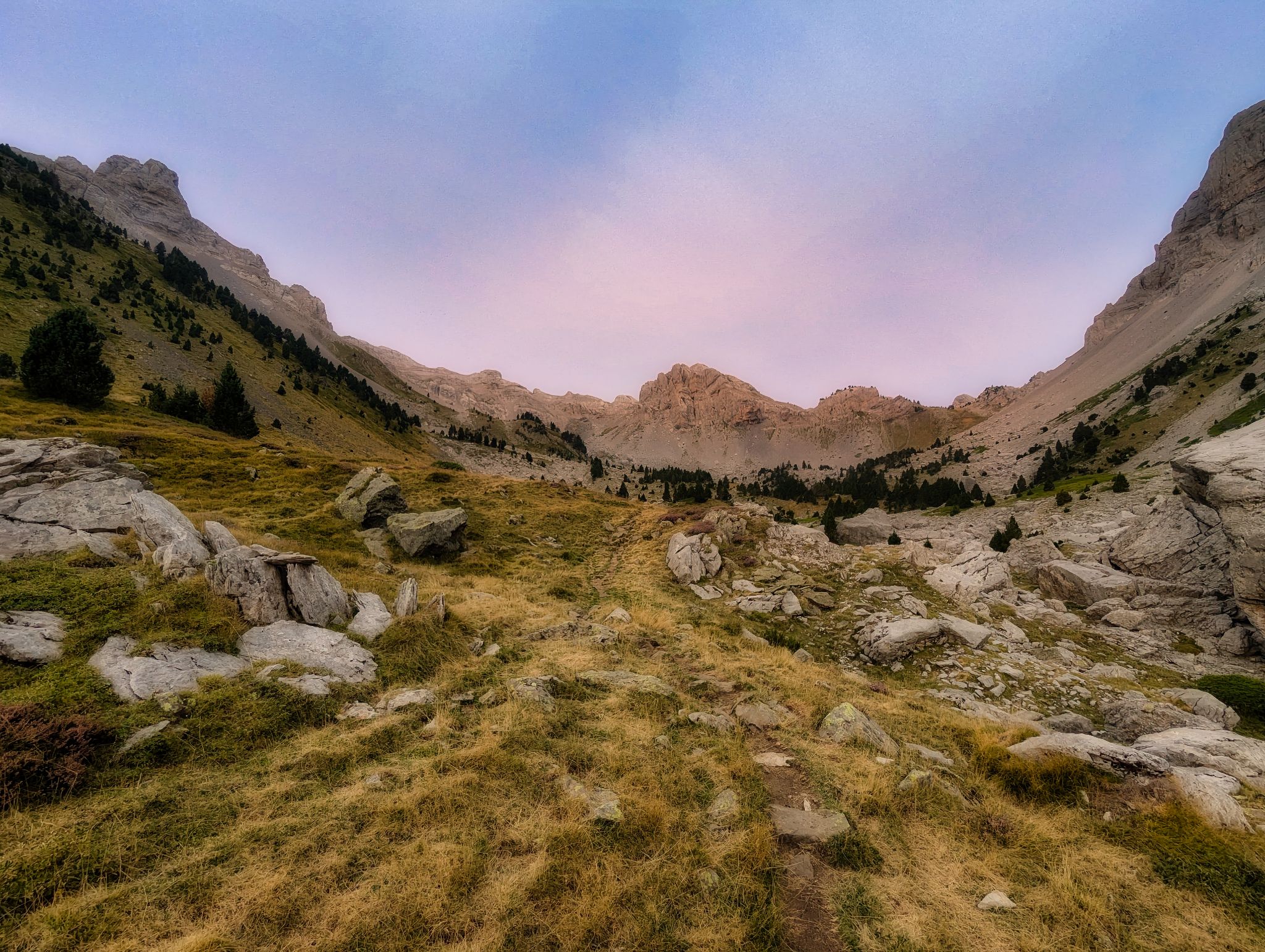 PXL 20240829 065212995