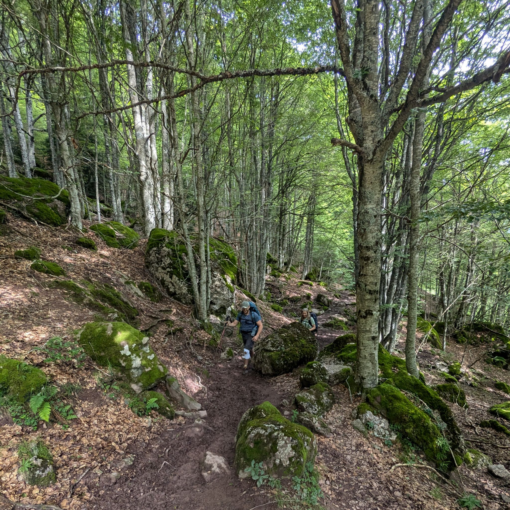 PXL 20240713 091626066