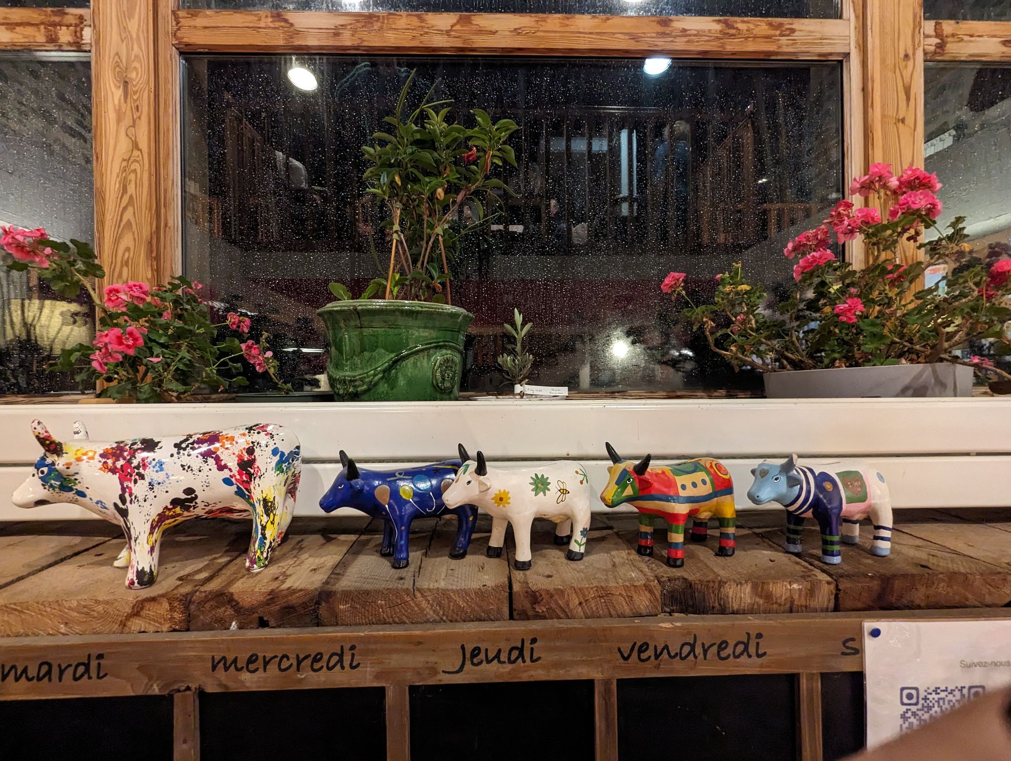 PXL 20240221 182444852.MP