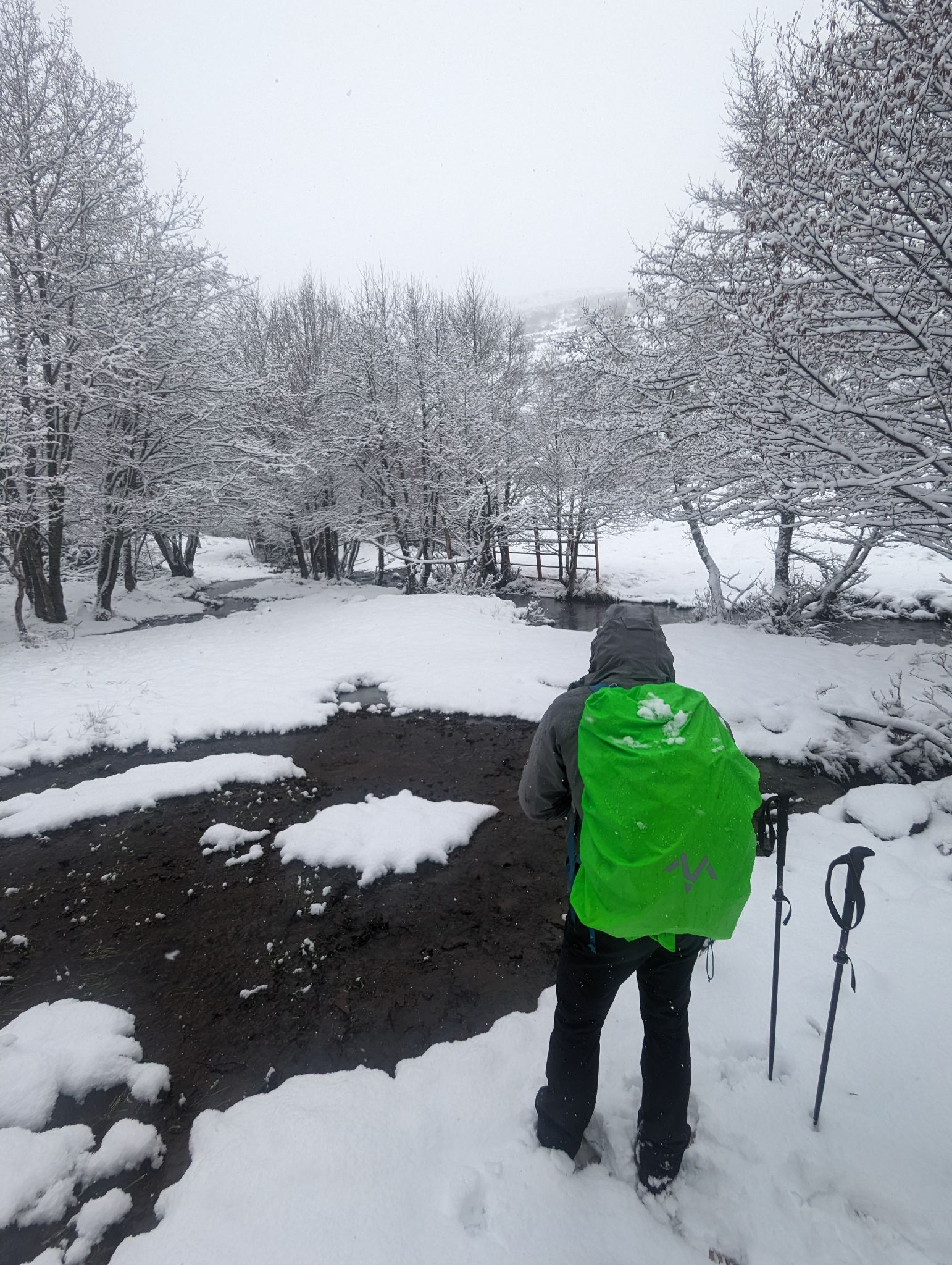 PXL 20240223 092328341