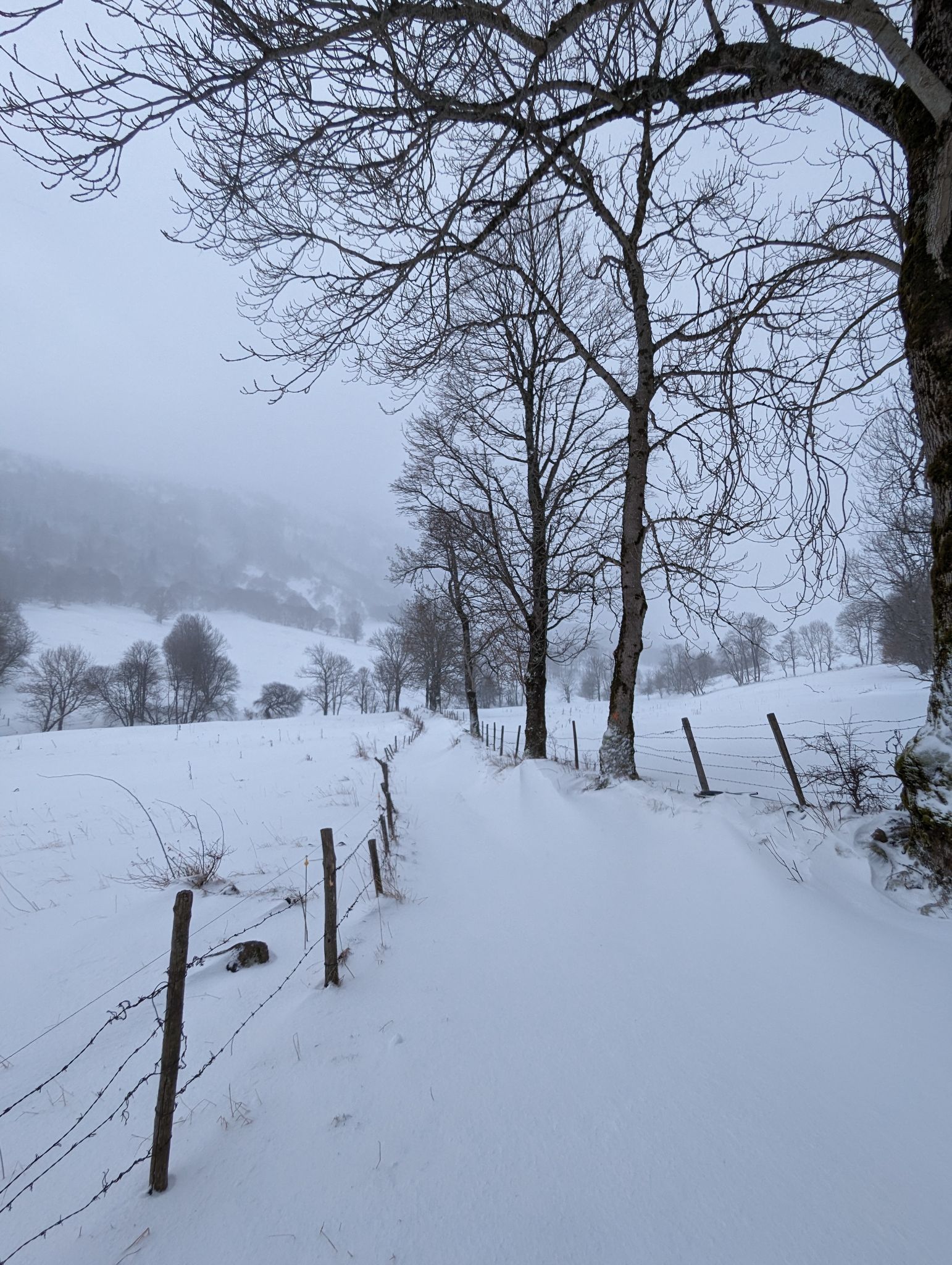 PXL 20240224 083910769