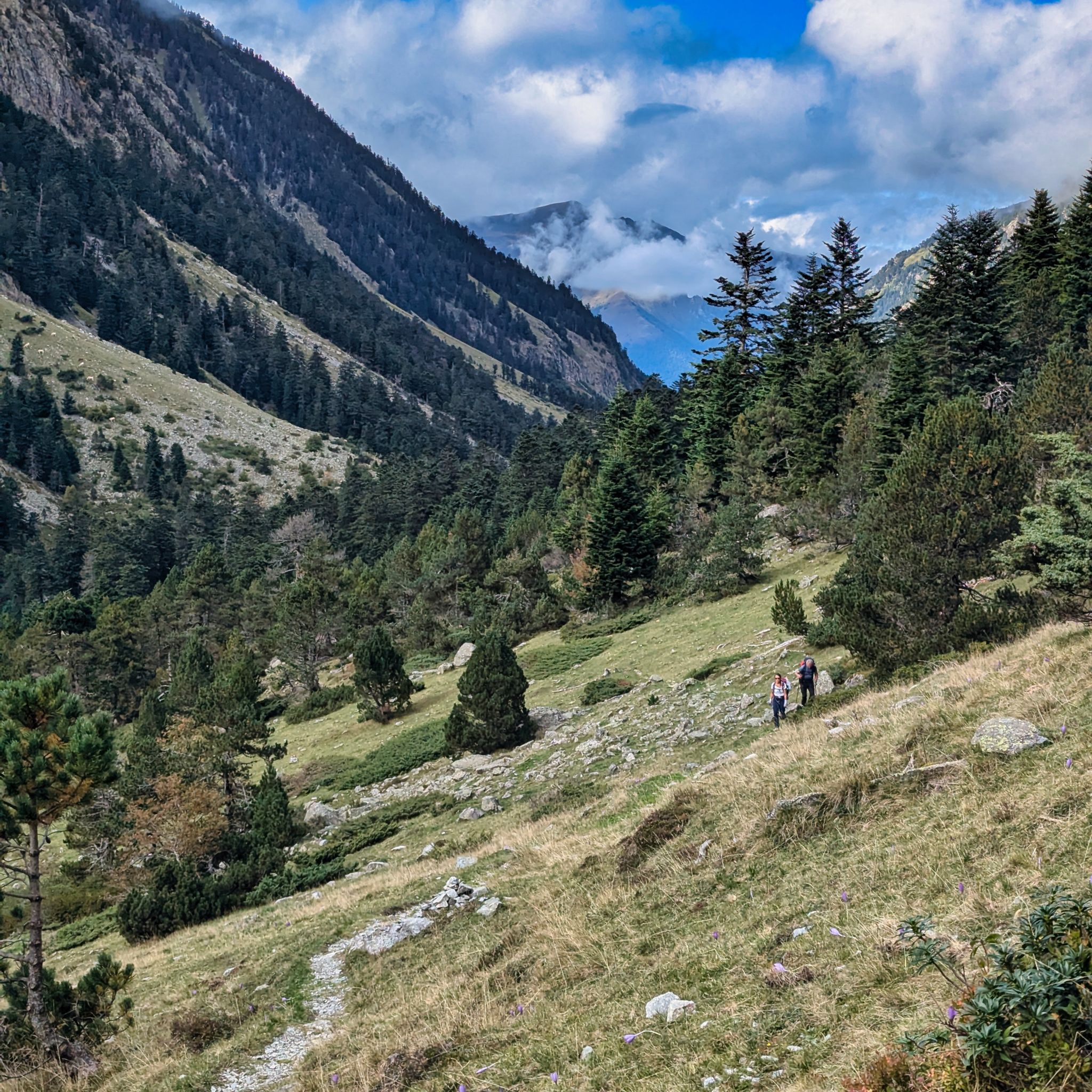 PXL 20240928 142416681