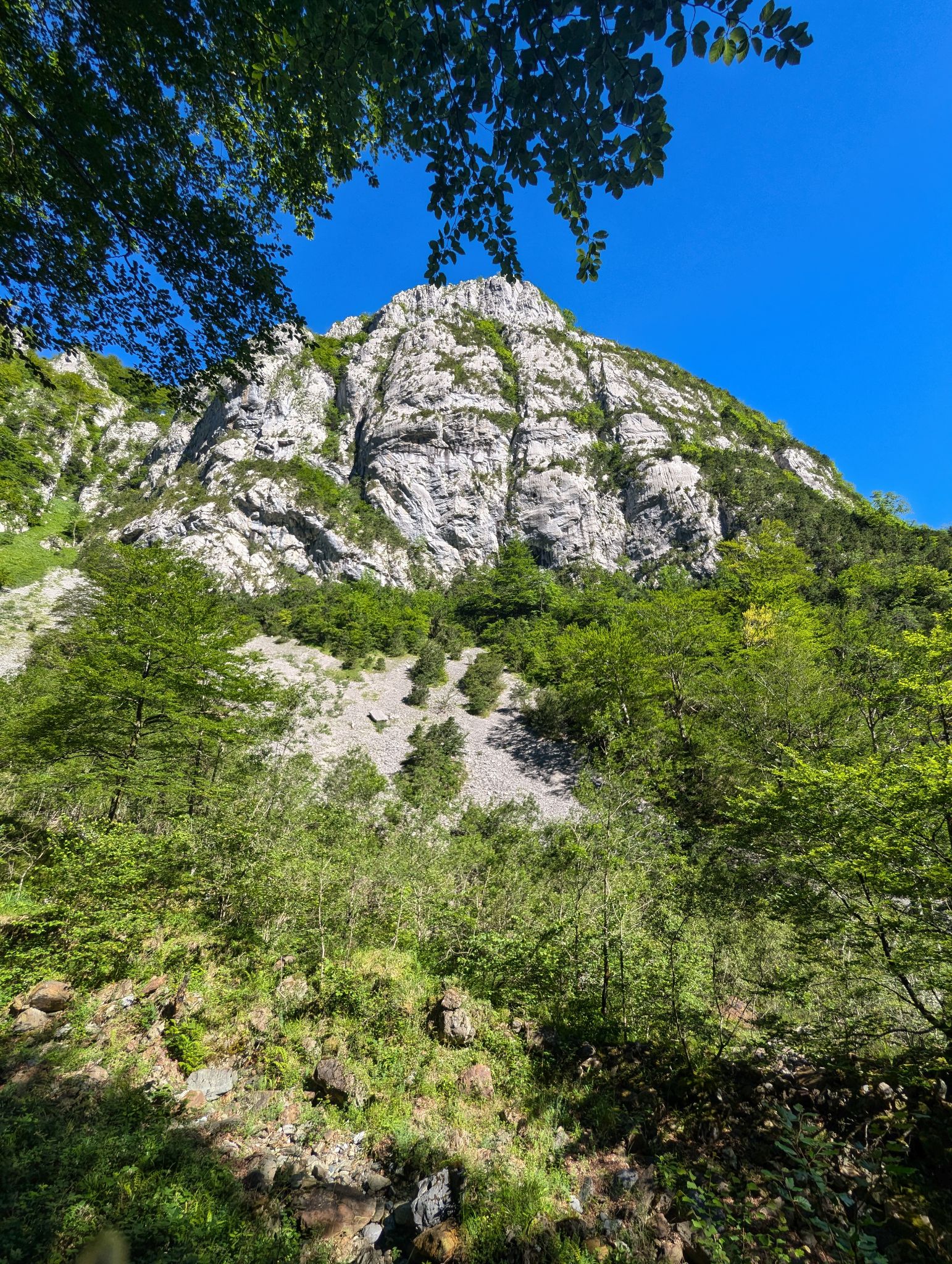 PXL 20240704 081704895