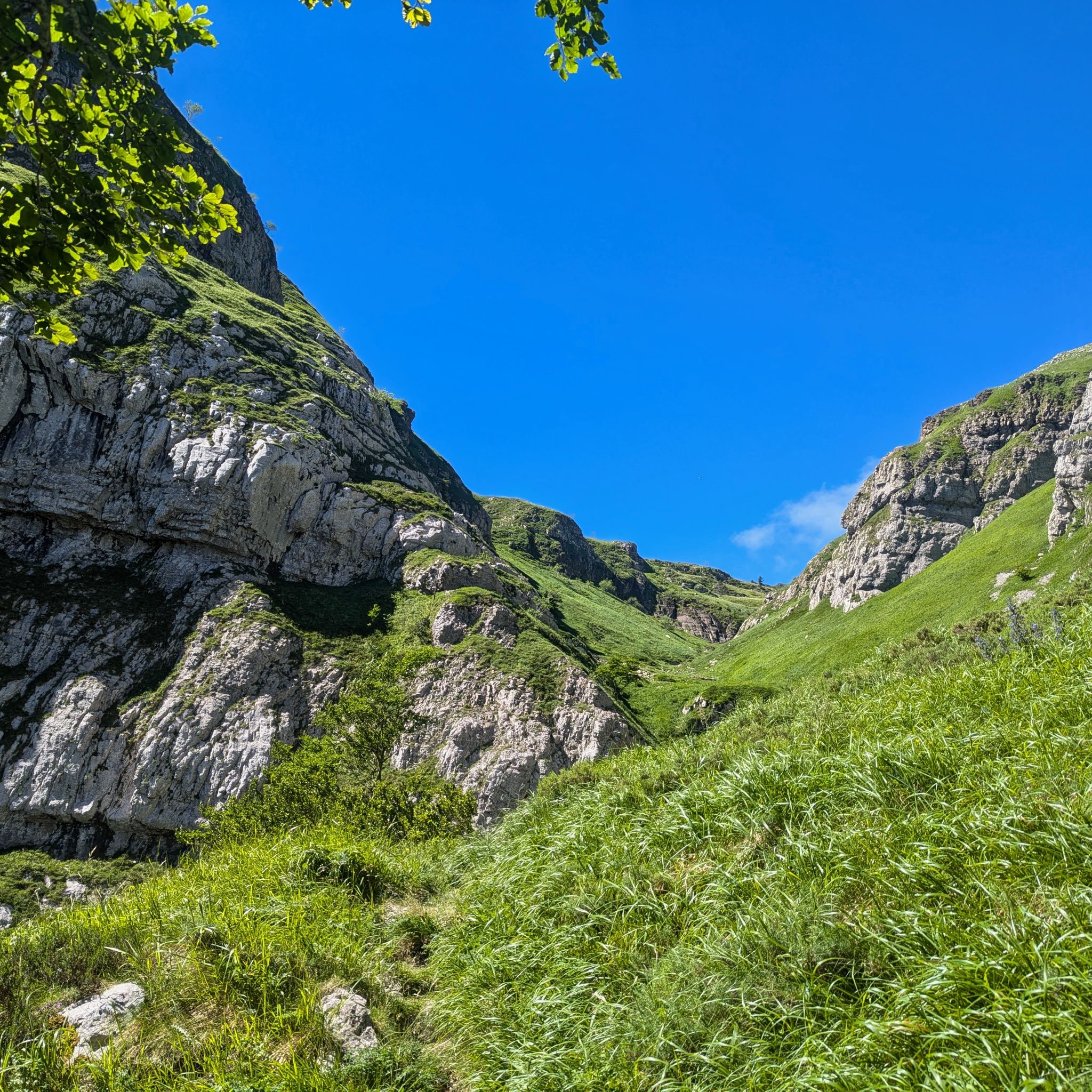 PXL 20240704 094059091.MP