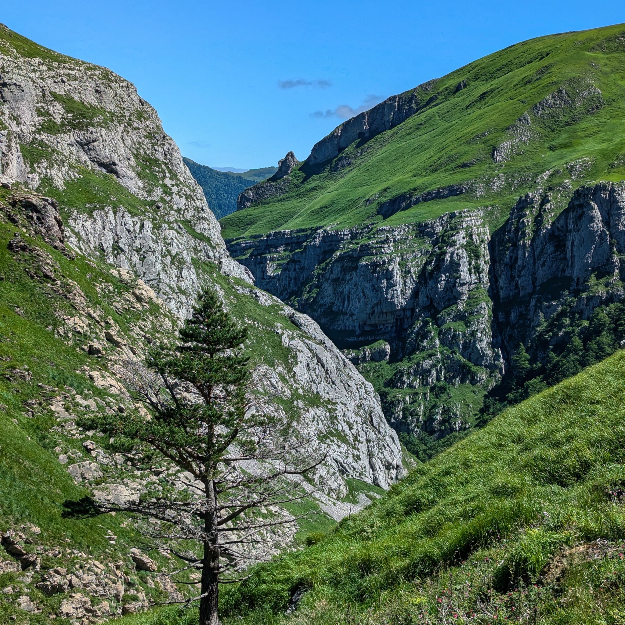 PXL 20240704 100348910