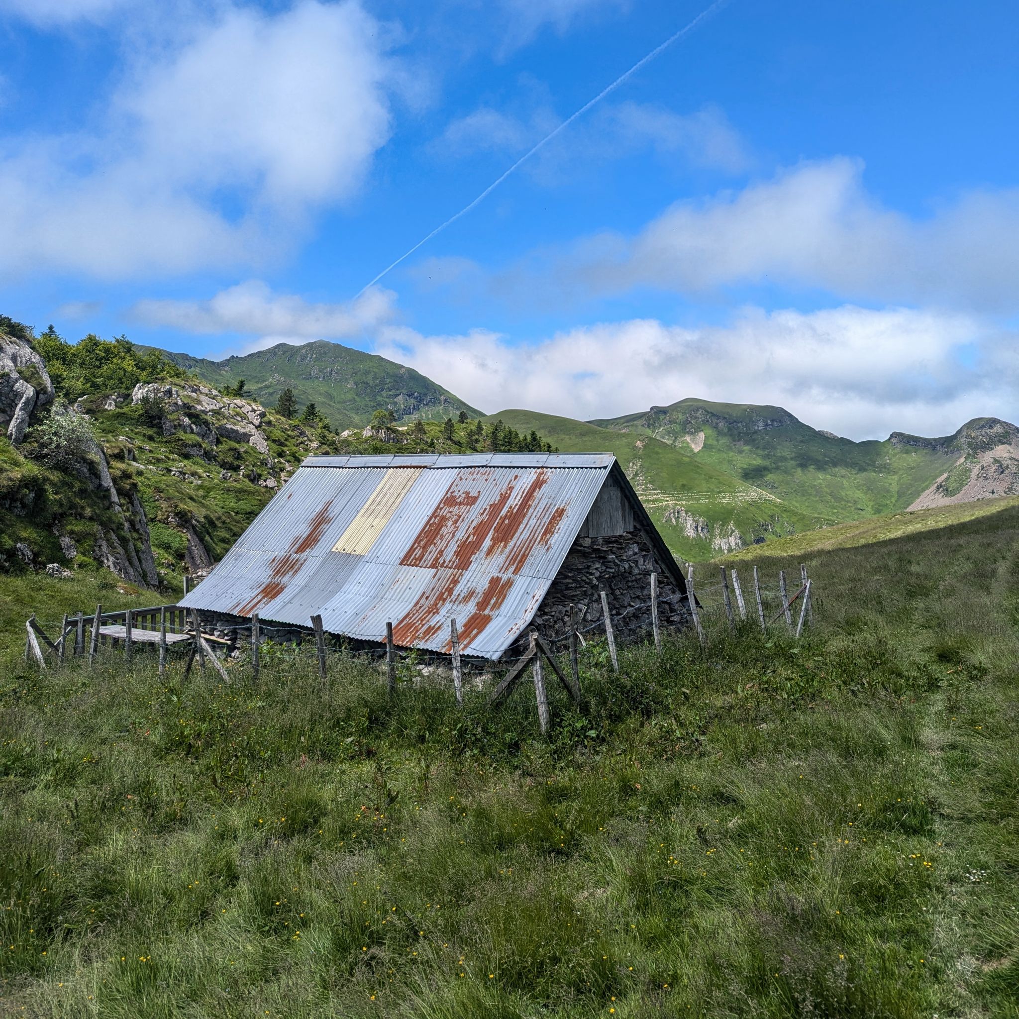 PXL 20240704 110009908