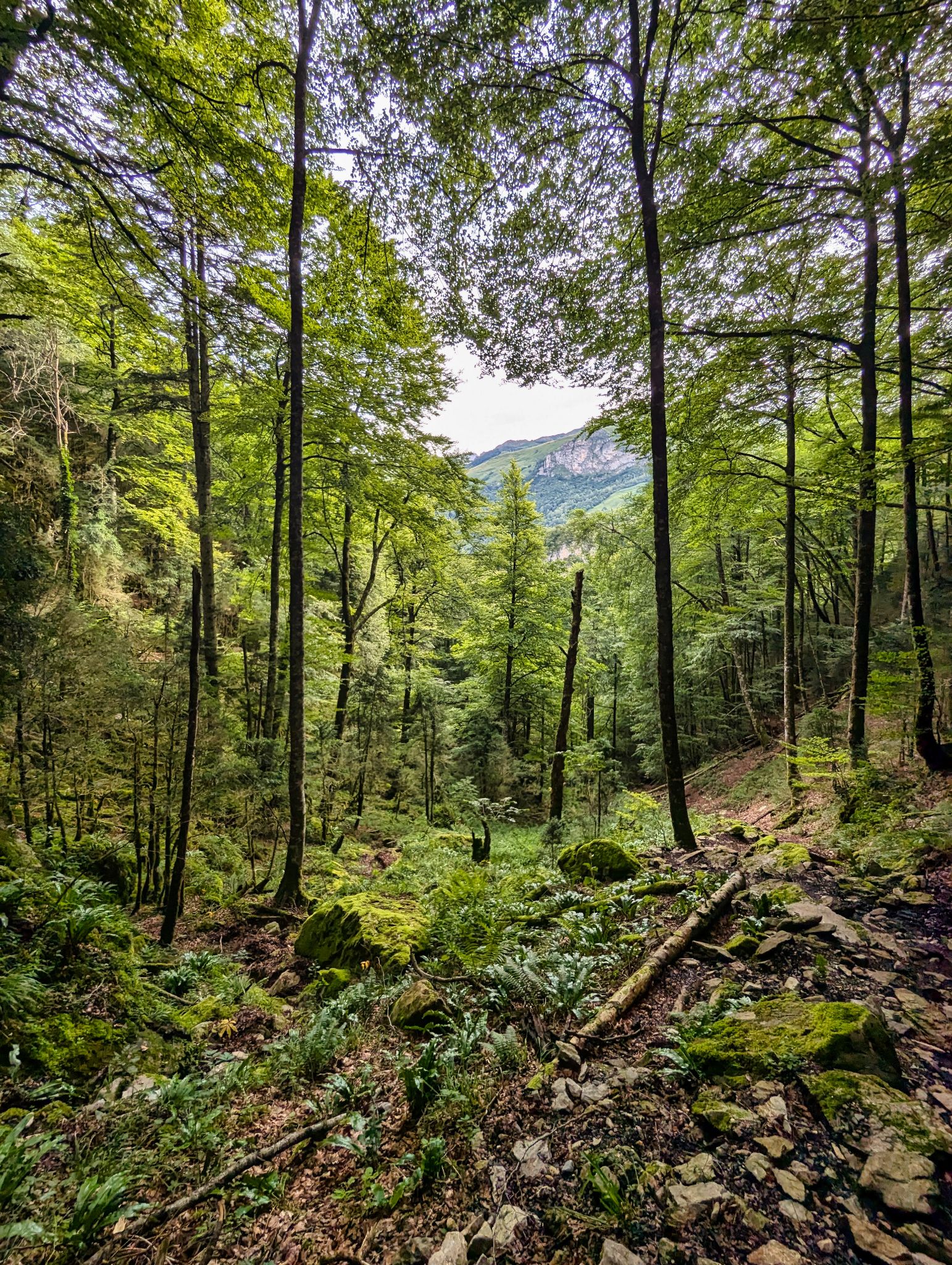 PXL 20240817 070708127