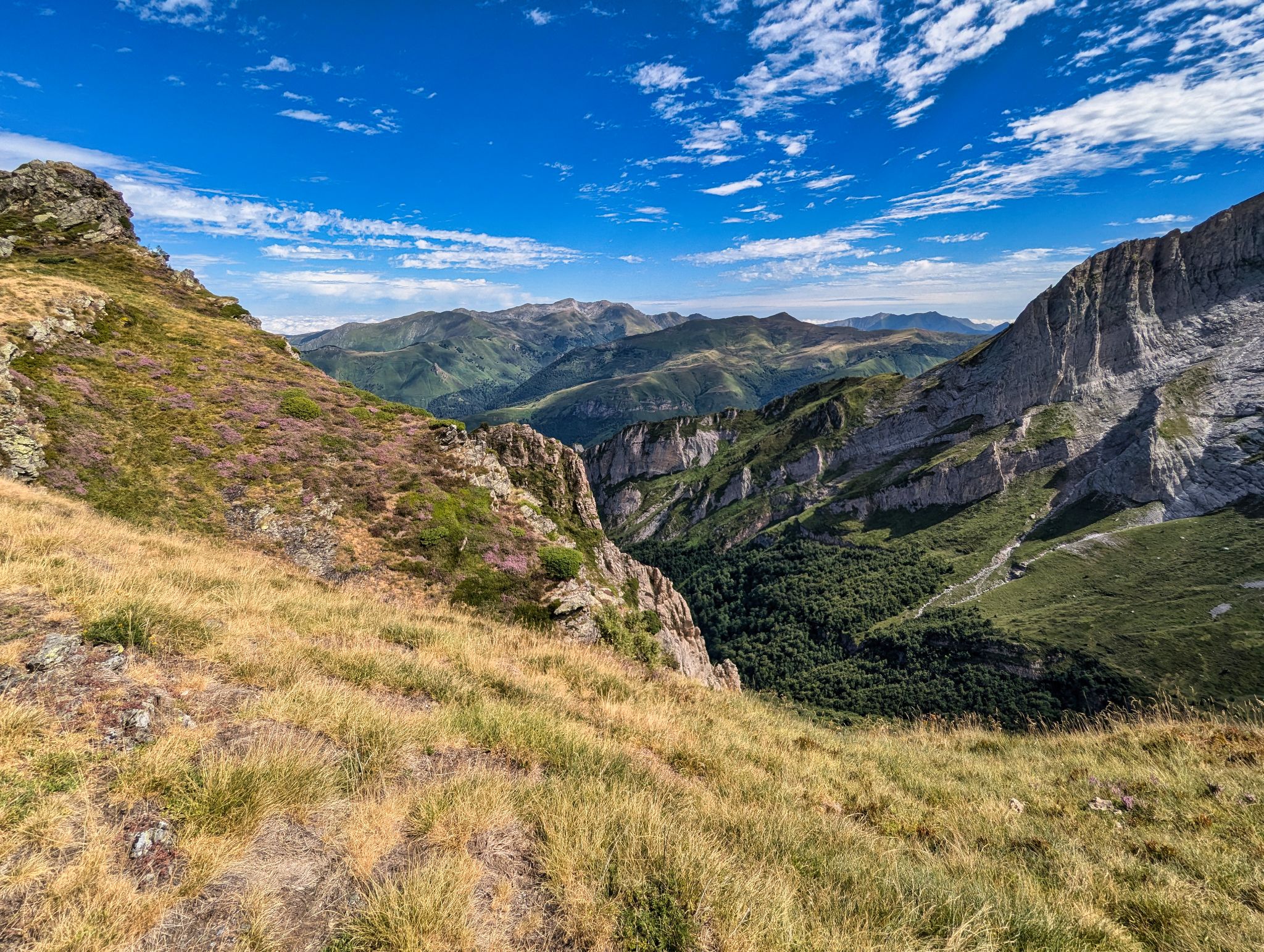 PXL 20240817 095602753