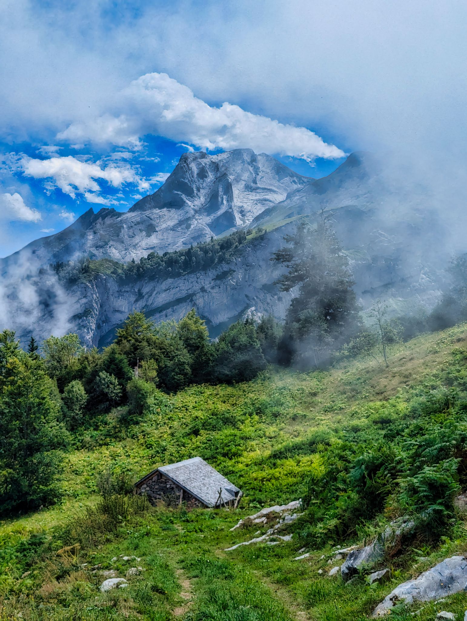 PXL 20240817 114025836.MP