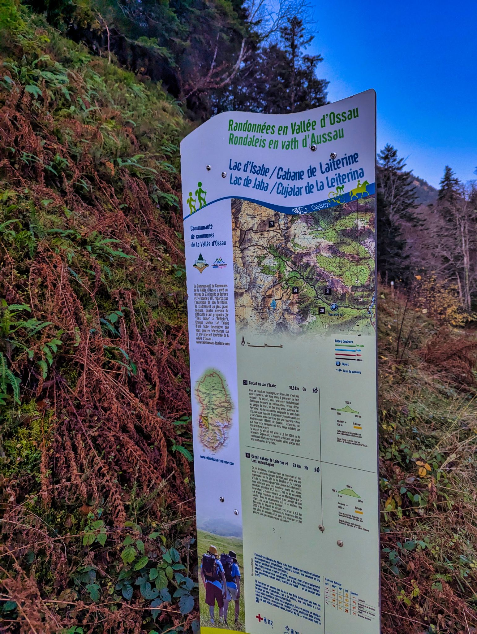 PXL 20241201 070145962.MP