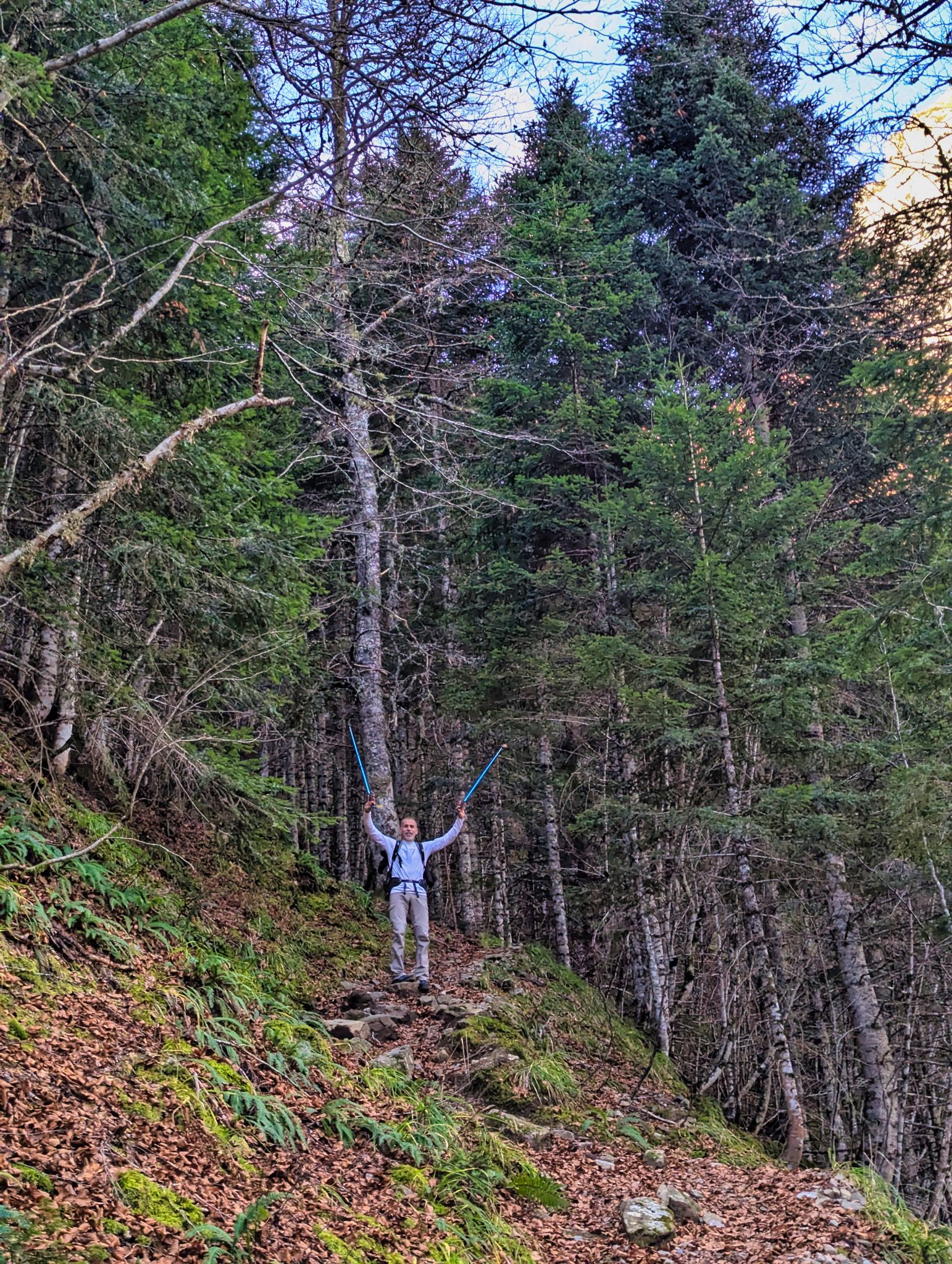 PXL 20241201 081659899