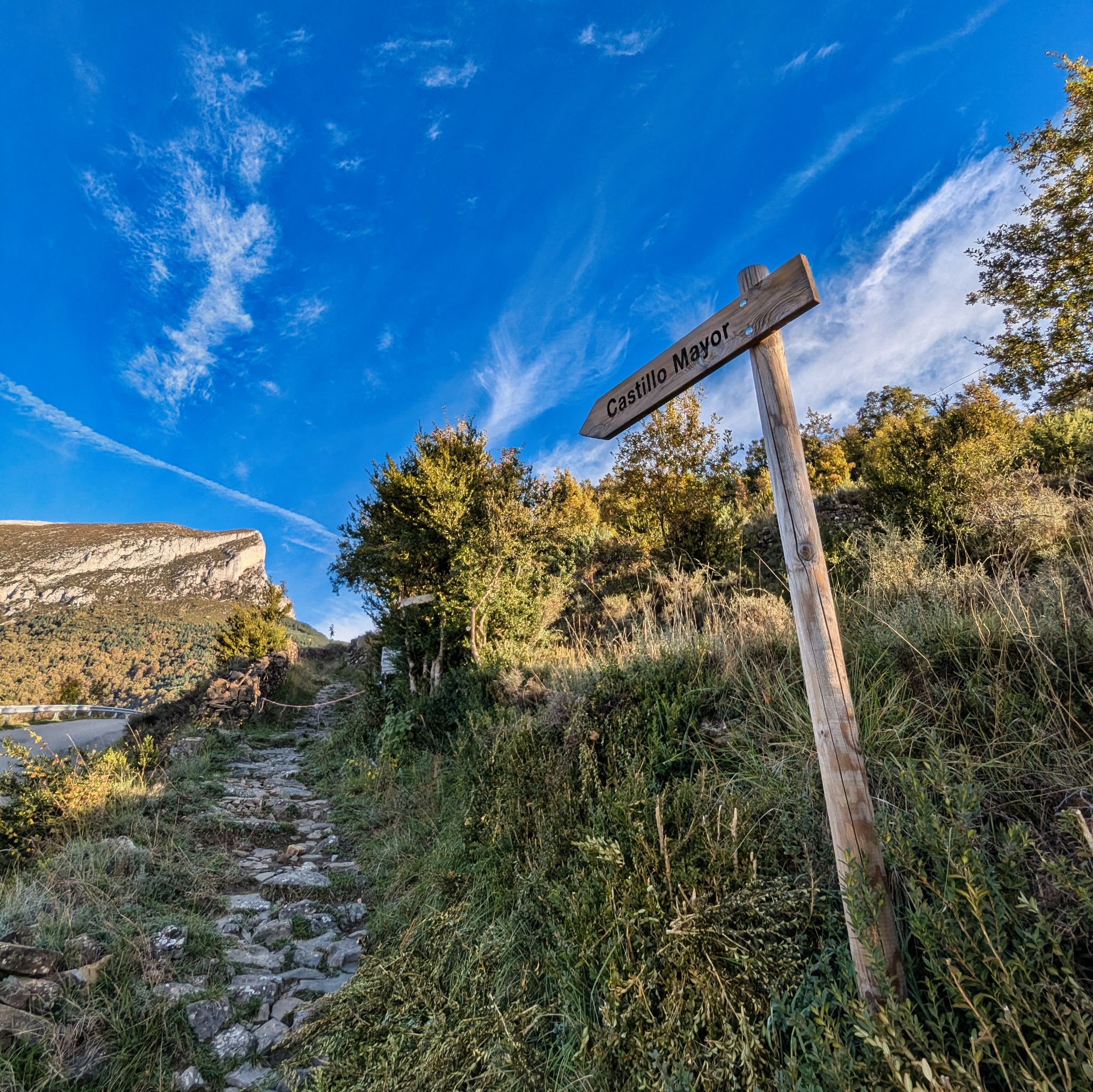 PXL 20241110 082040292