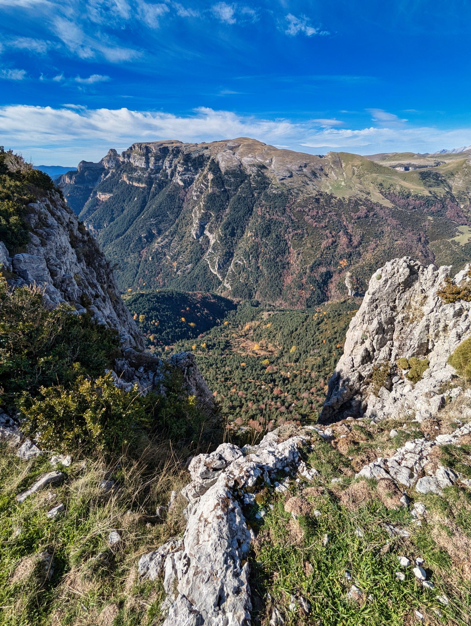 PXL 20241110 103510305