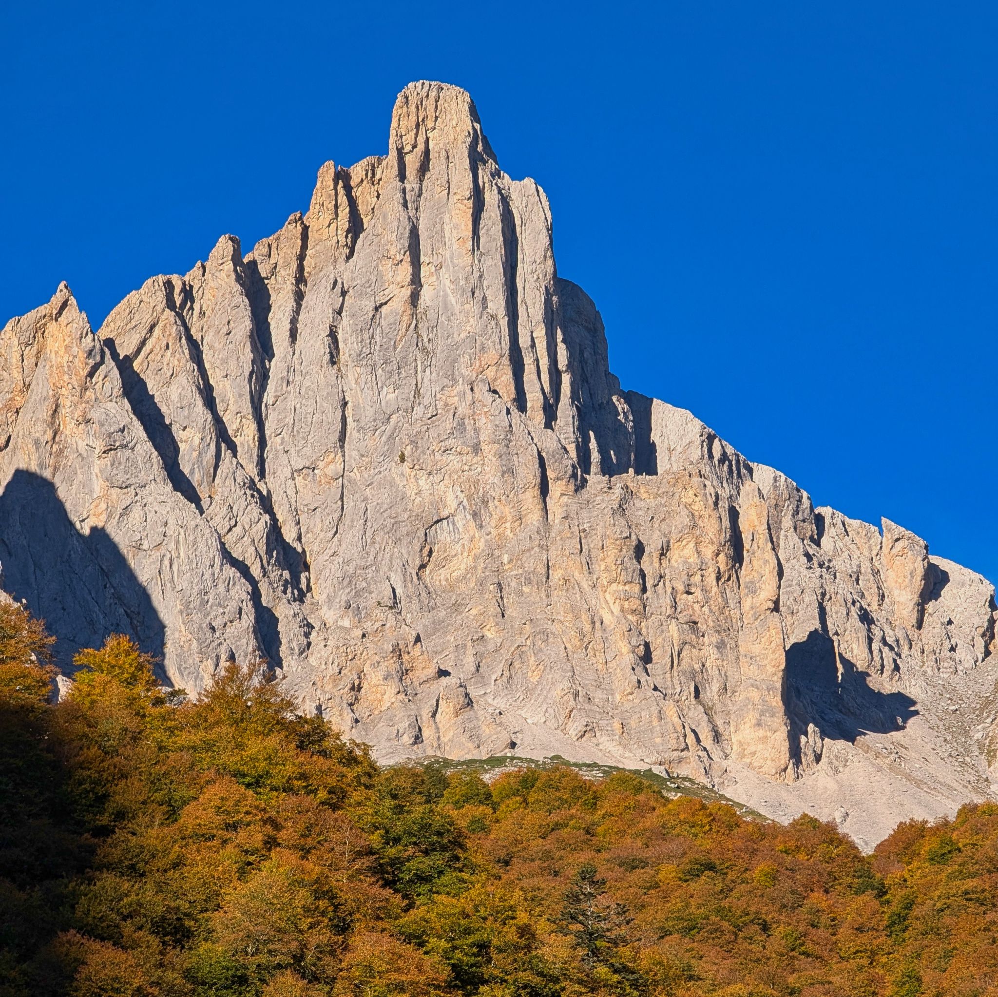 PXL 20251006 081406702