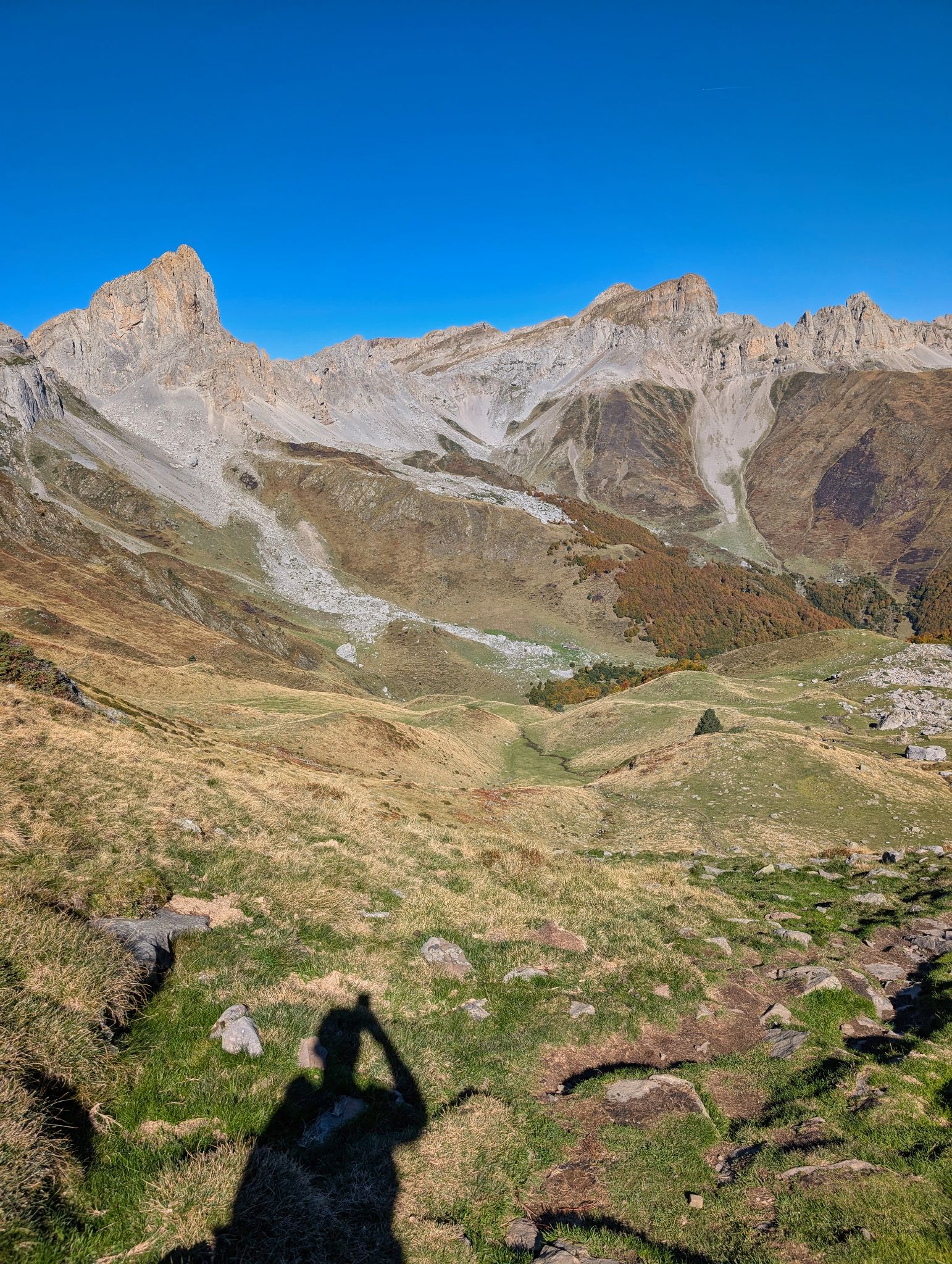 PXL 20251006 093449088