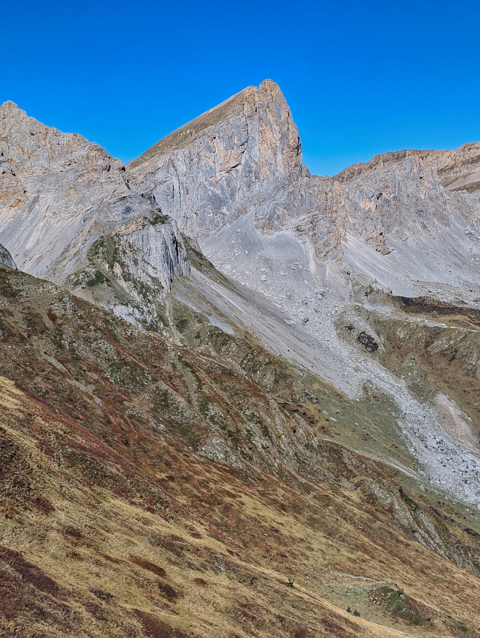 PXL 20251006 095623273