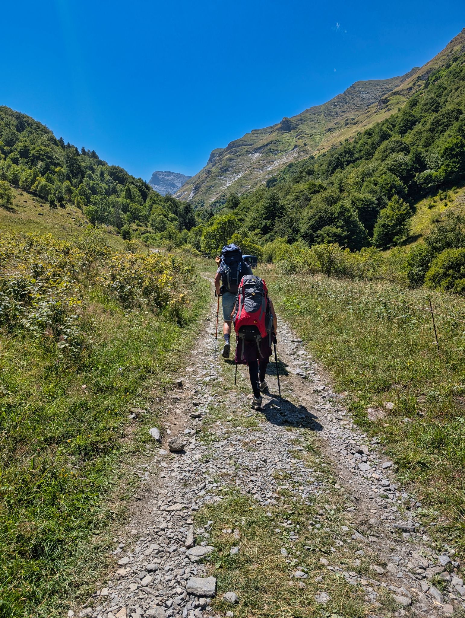 PXL 20250802 122936051