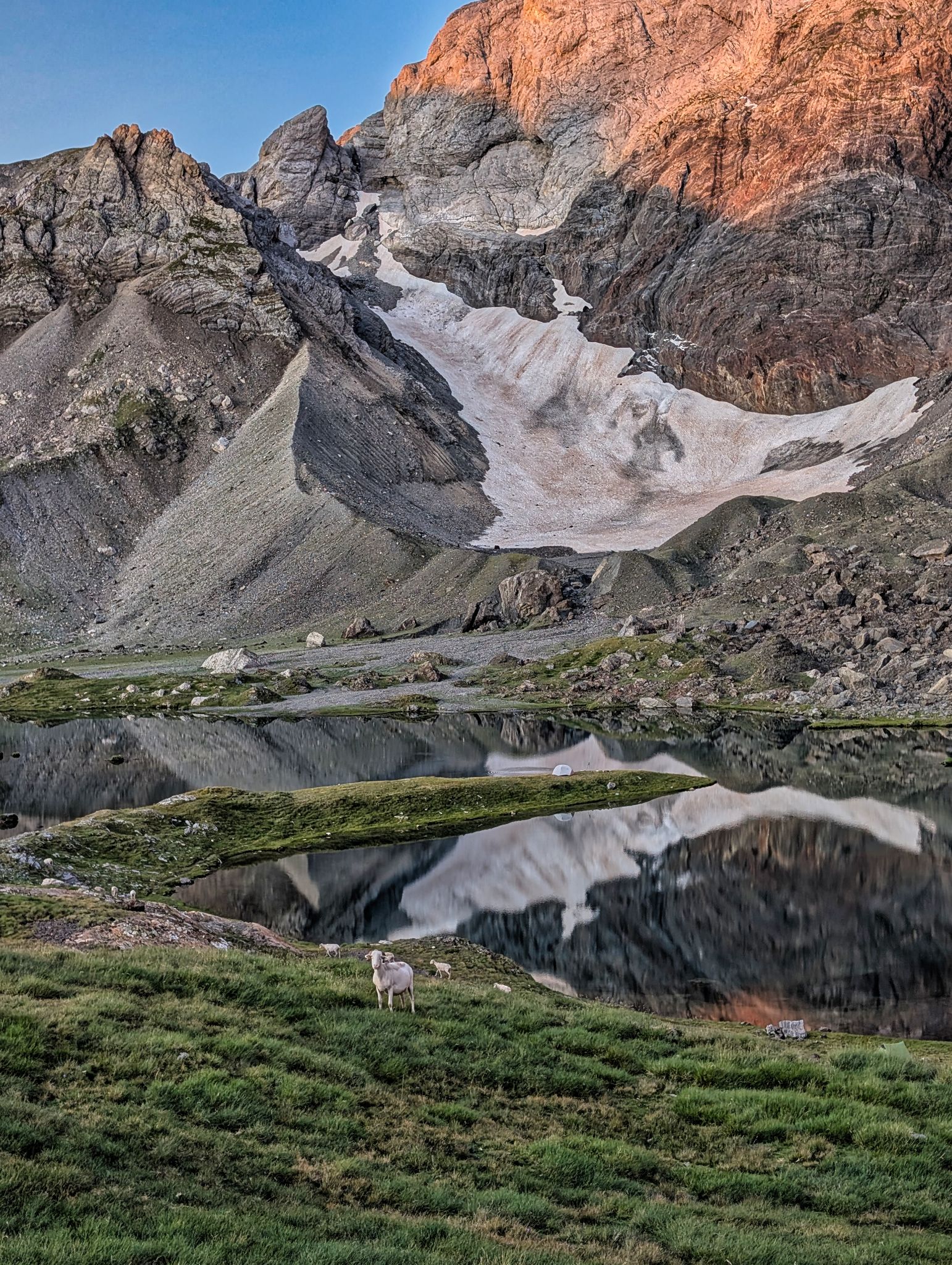 PXL 20250803 050348519