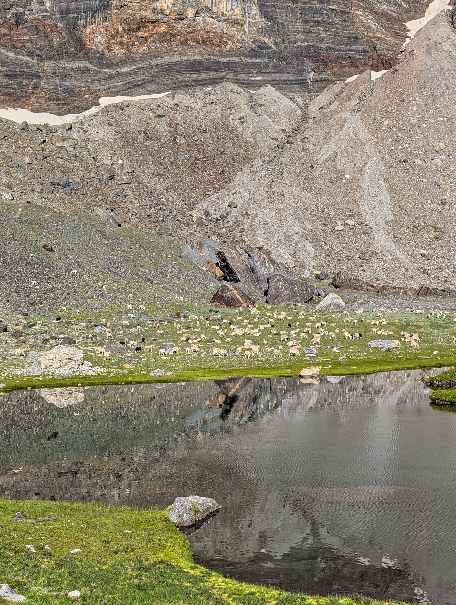 PXL 20250803 071040320