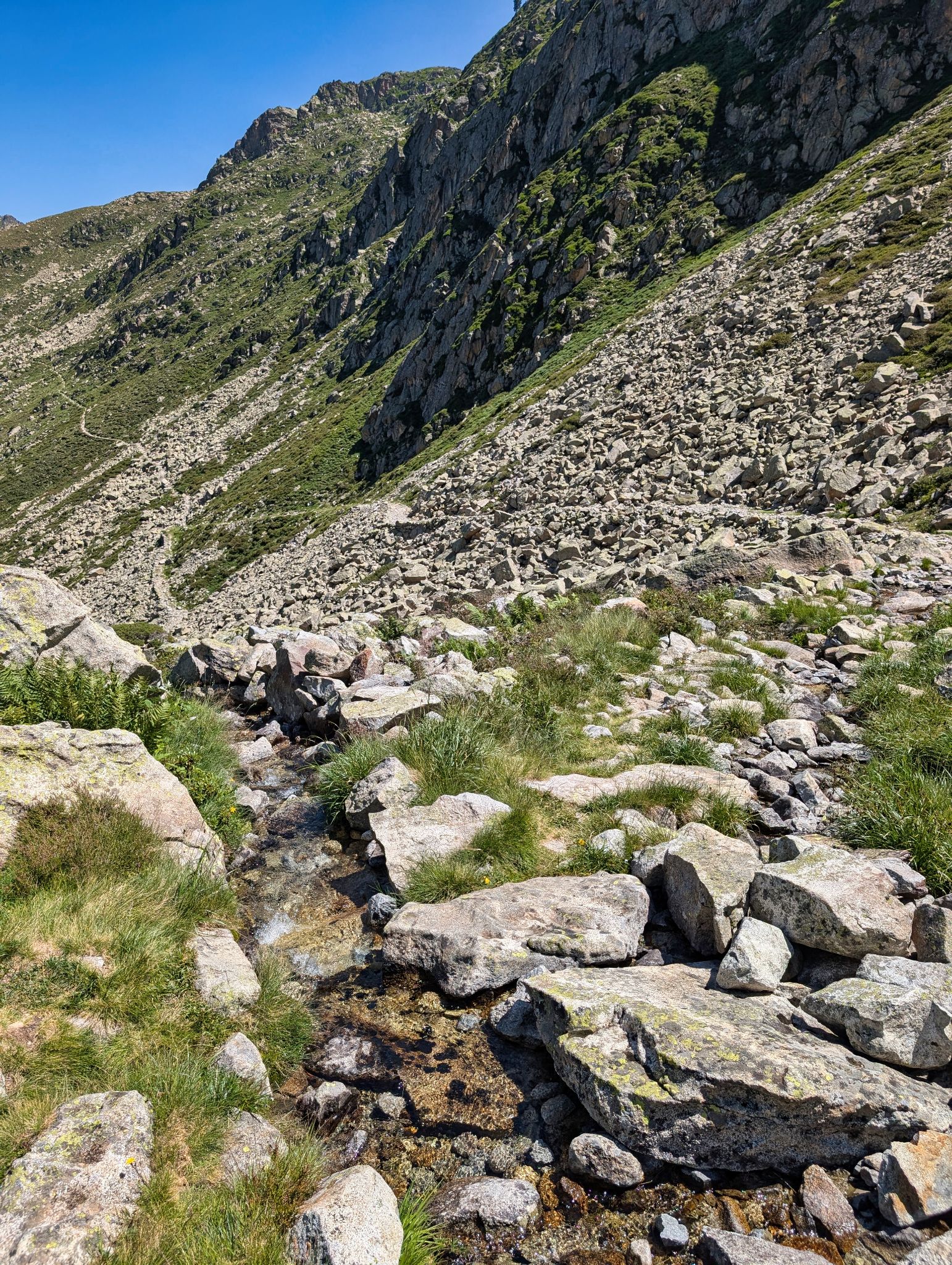 PXL 20250718 102354098