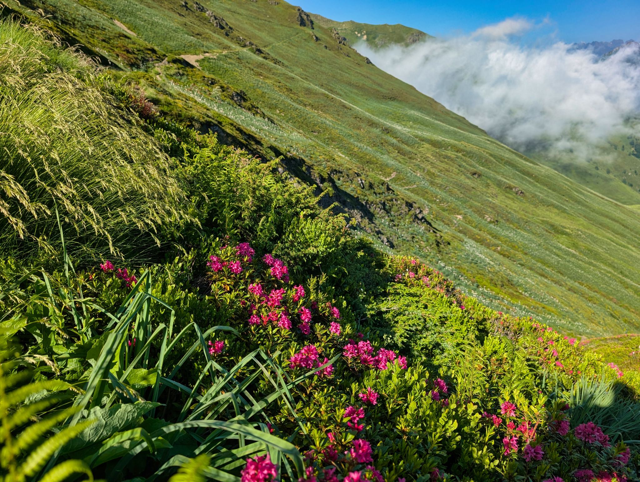 PXL 20250616 161429354