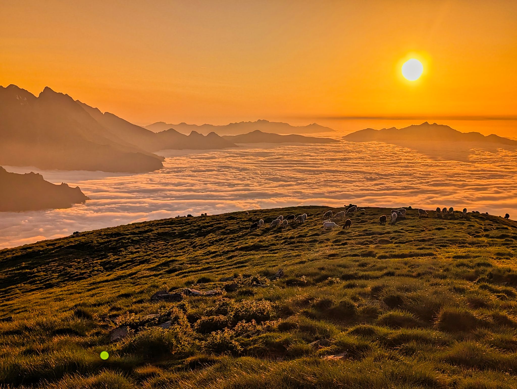 PXL 20250616 192020321