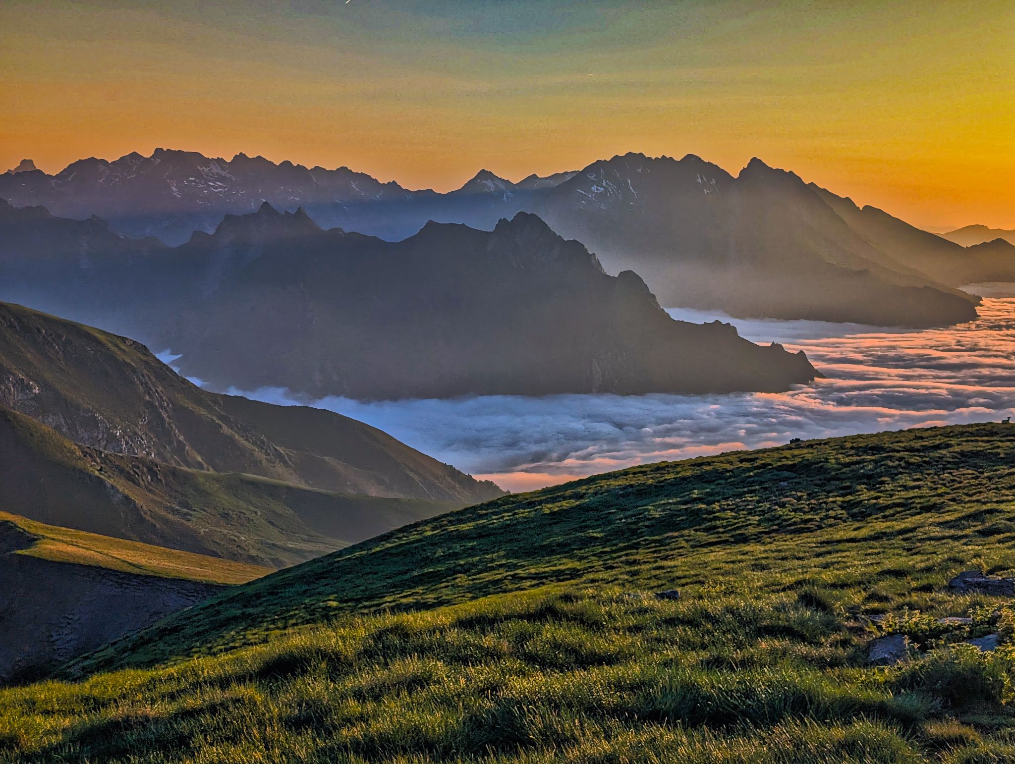 PXL 20250616 192044202