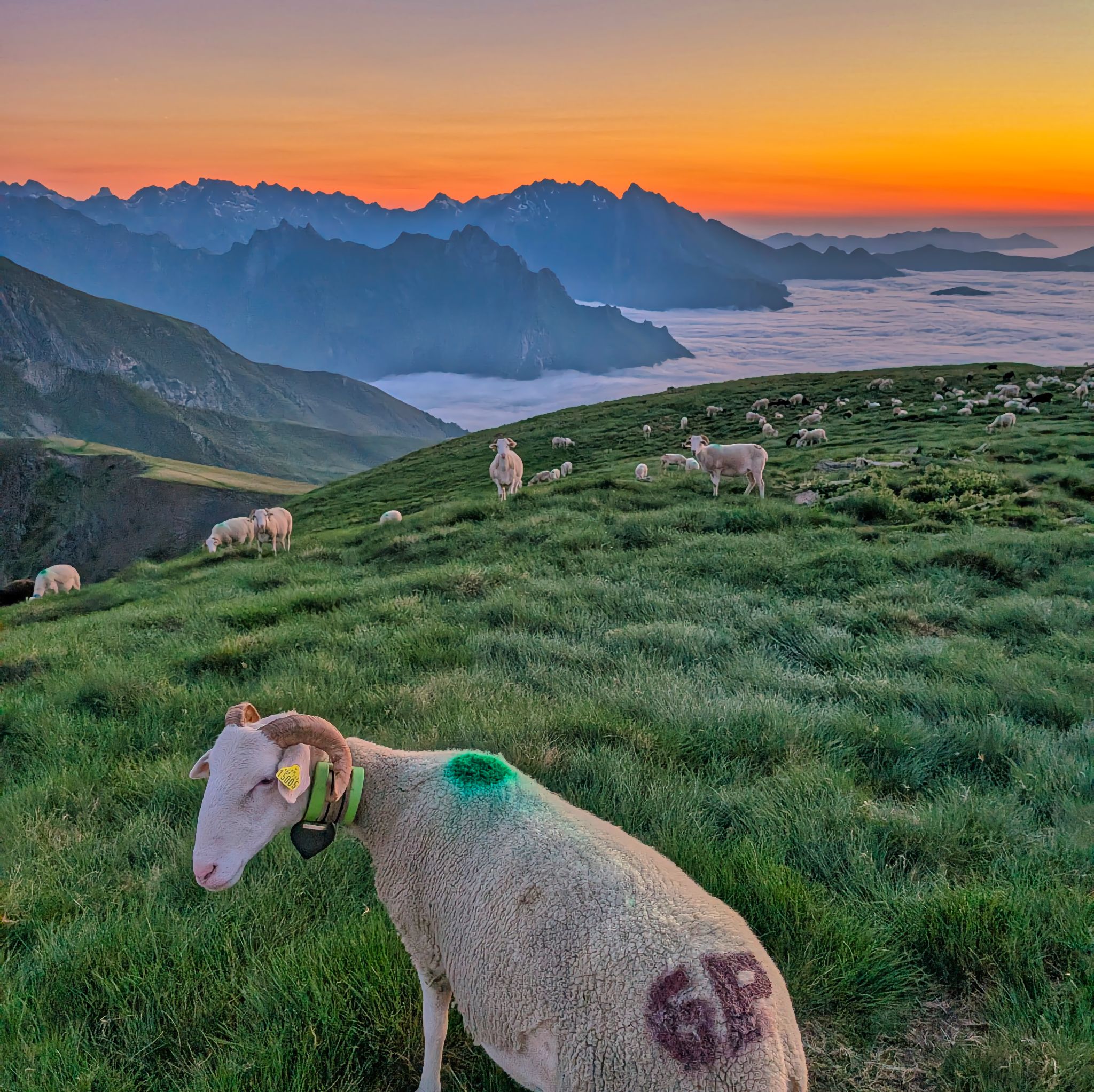 PXL 20250616 194854327