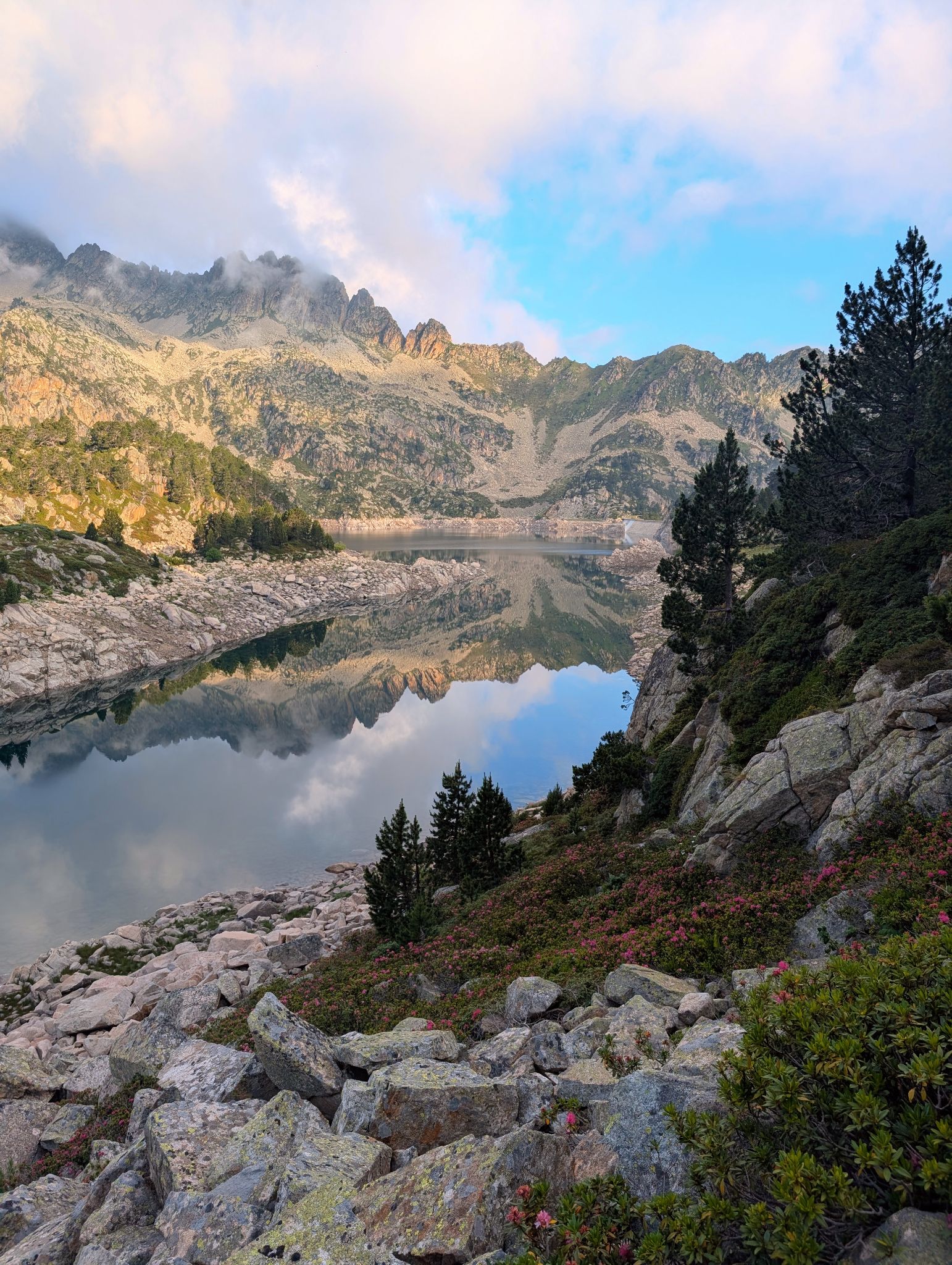 PXL 20250626 055200510~2