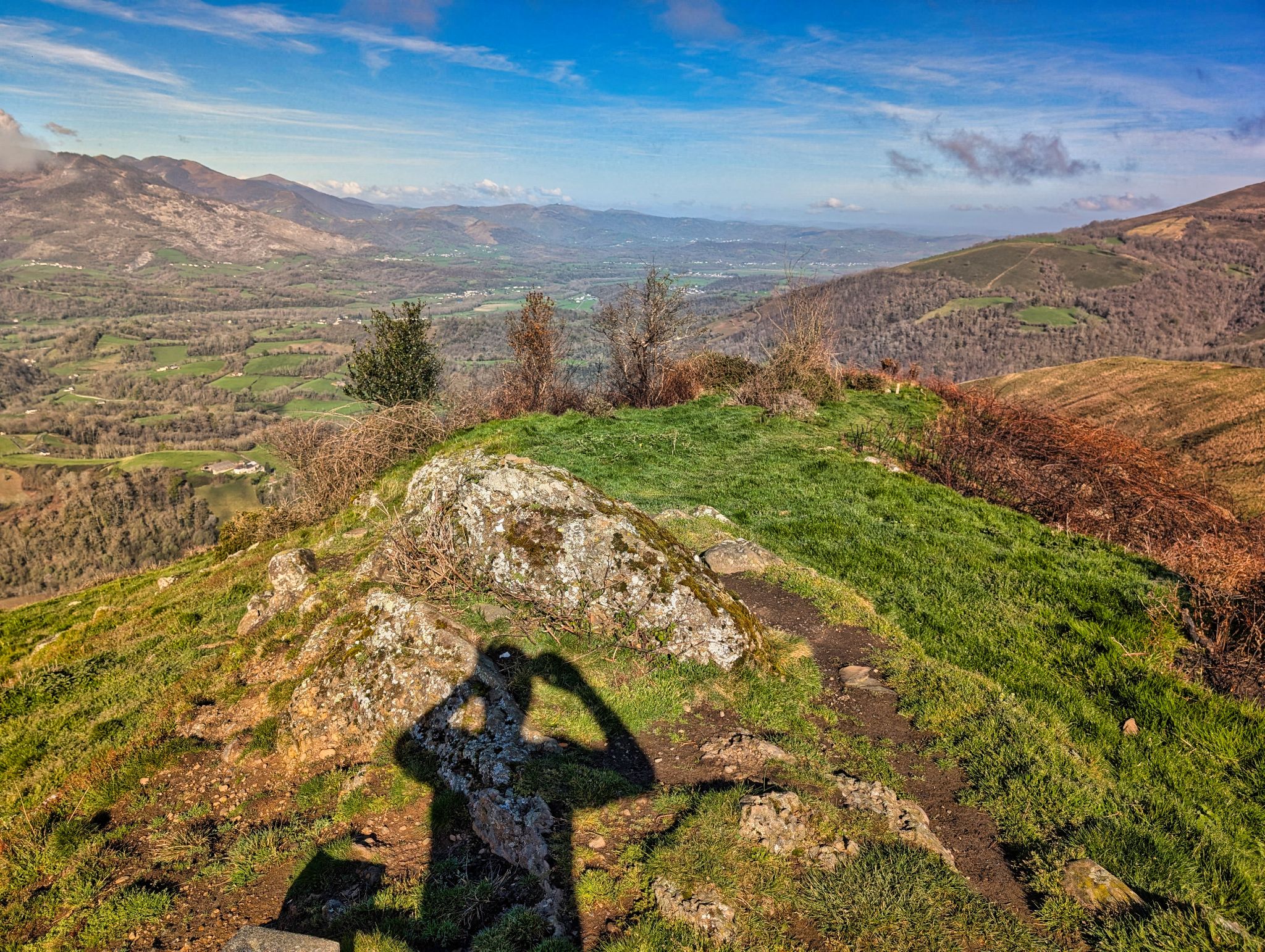 PXL 20250330 082855022