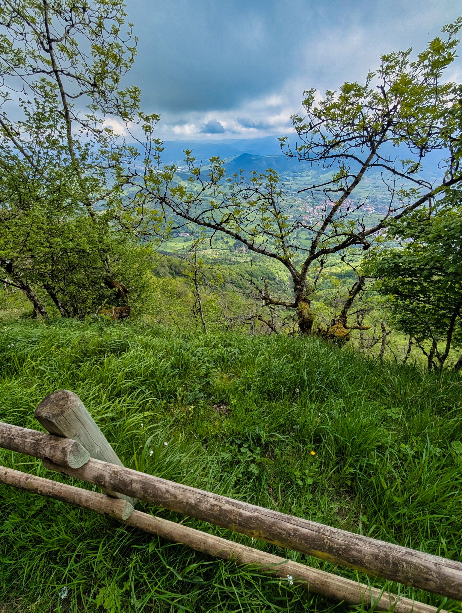 PXL 20250508 094229332