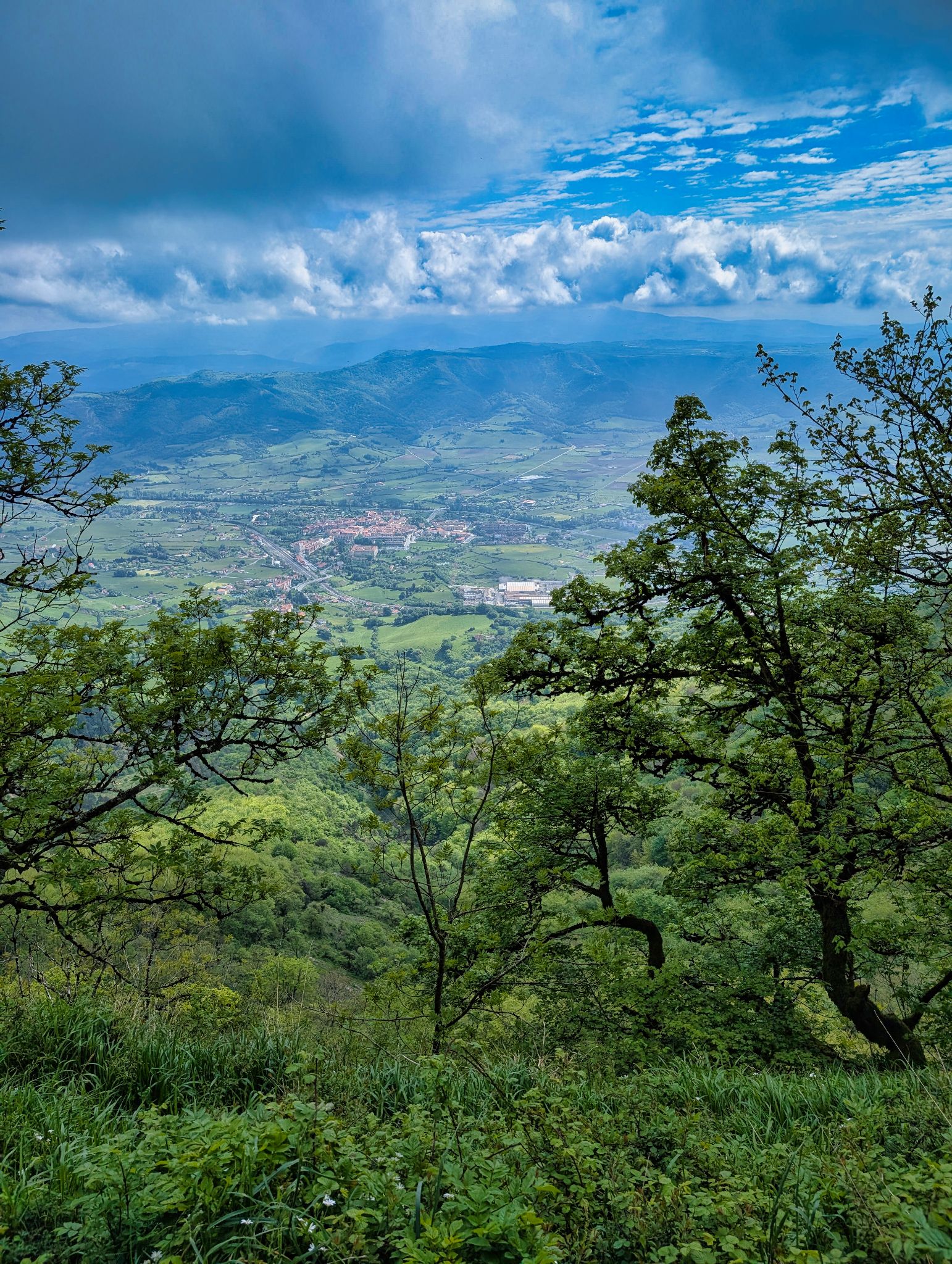 PXL 20250508 094618624