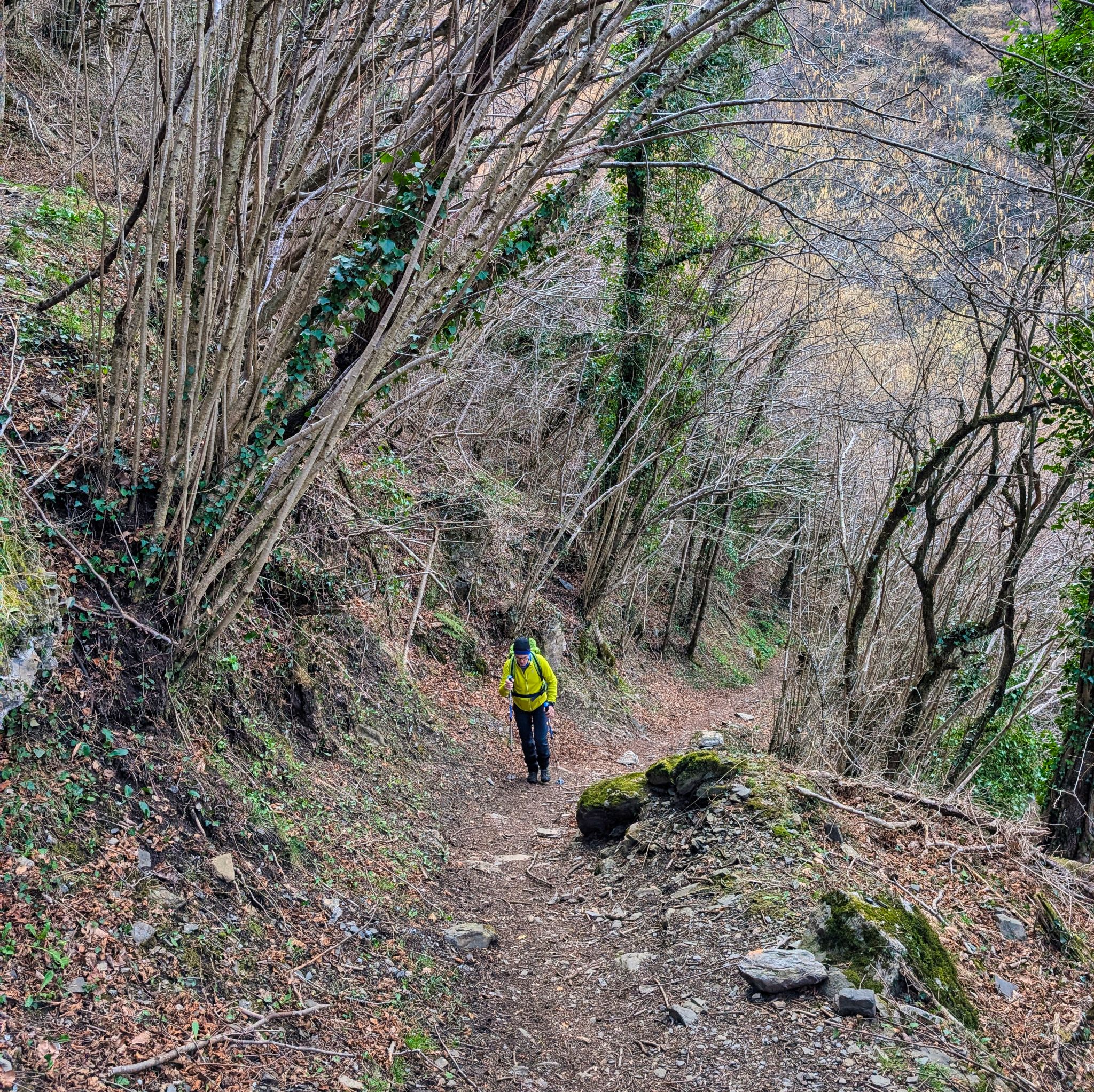 PXL 20250219 085029418