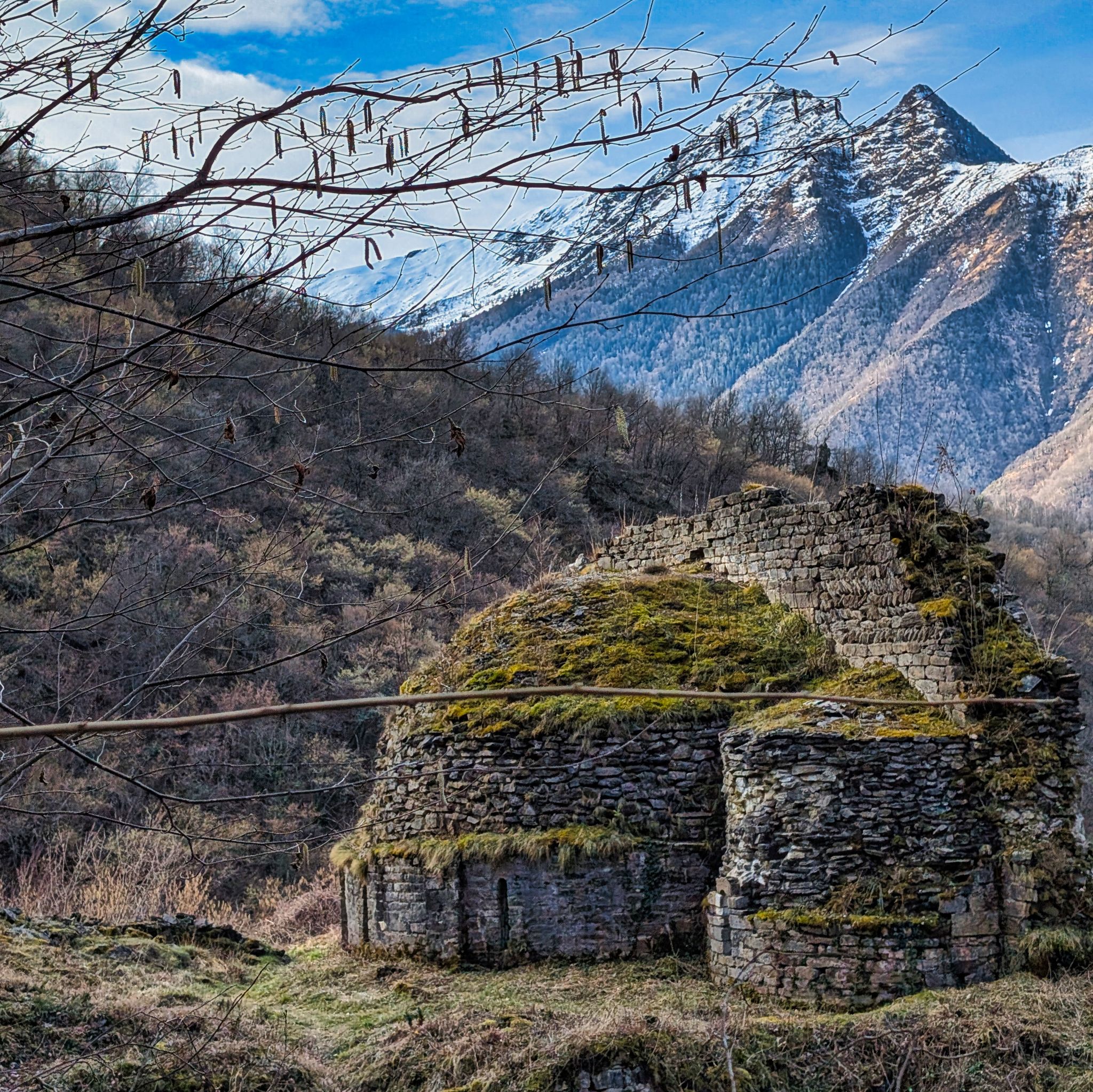 PXL 20250219 090525596