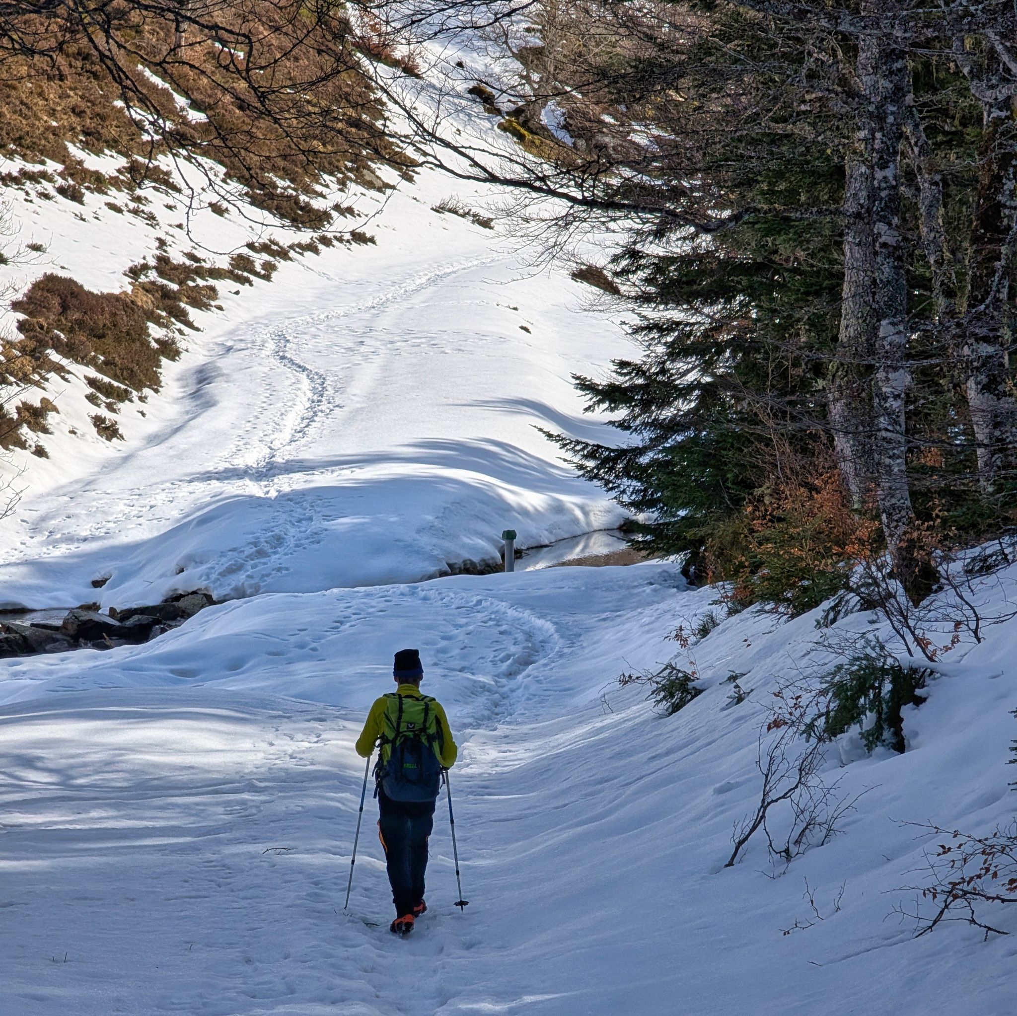 PXL 20250219 105554366