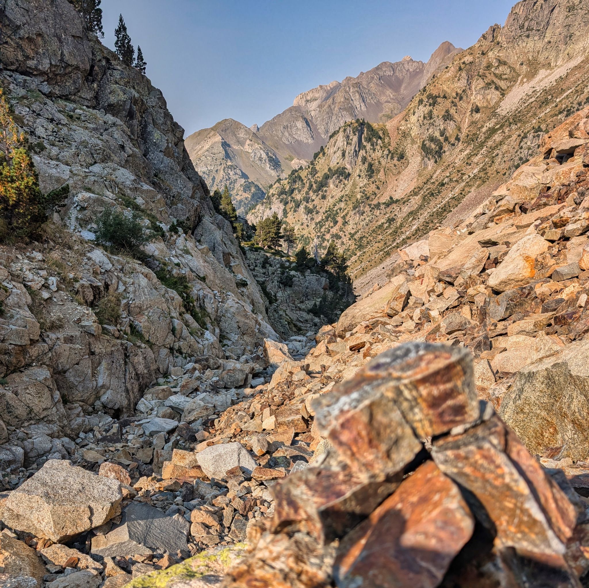 PXL 20250815 080023869