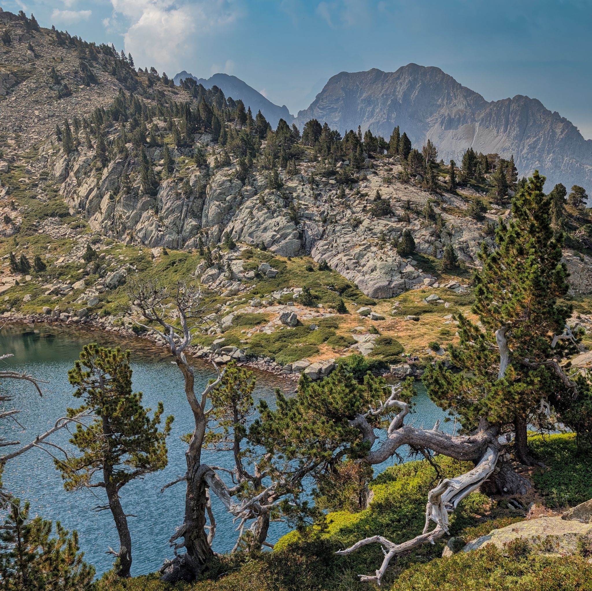 PXL 20250815 093835827