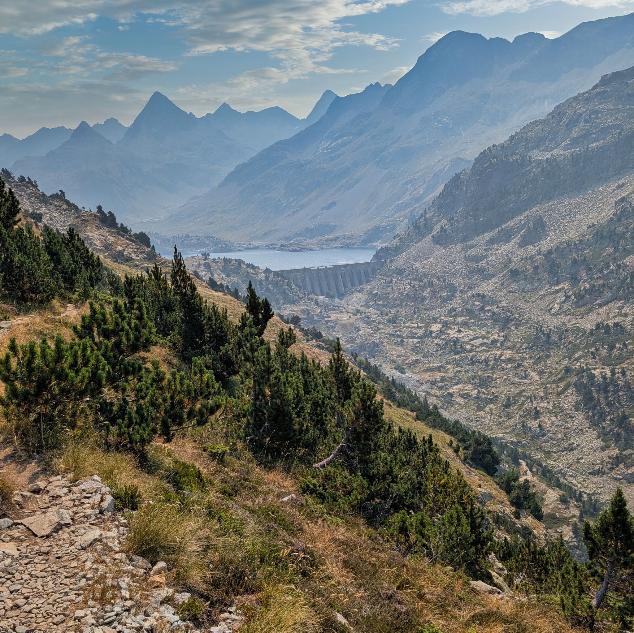 PXL 20250815 102314703