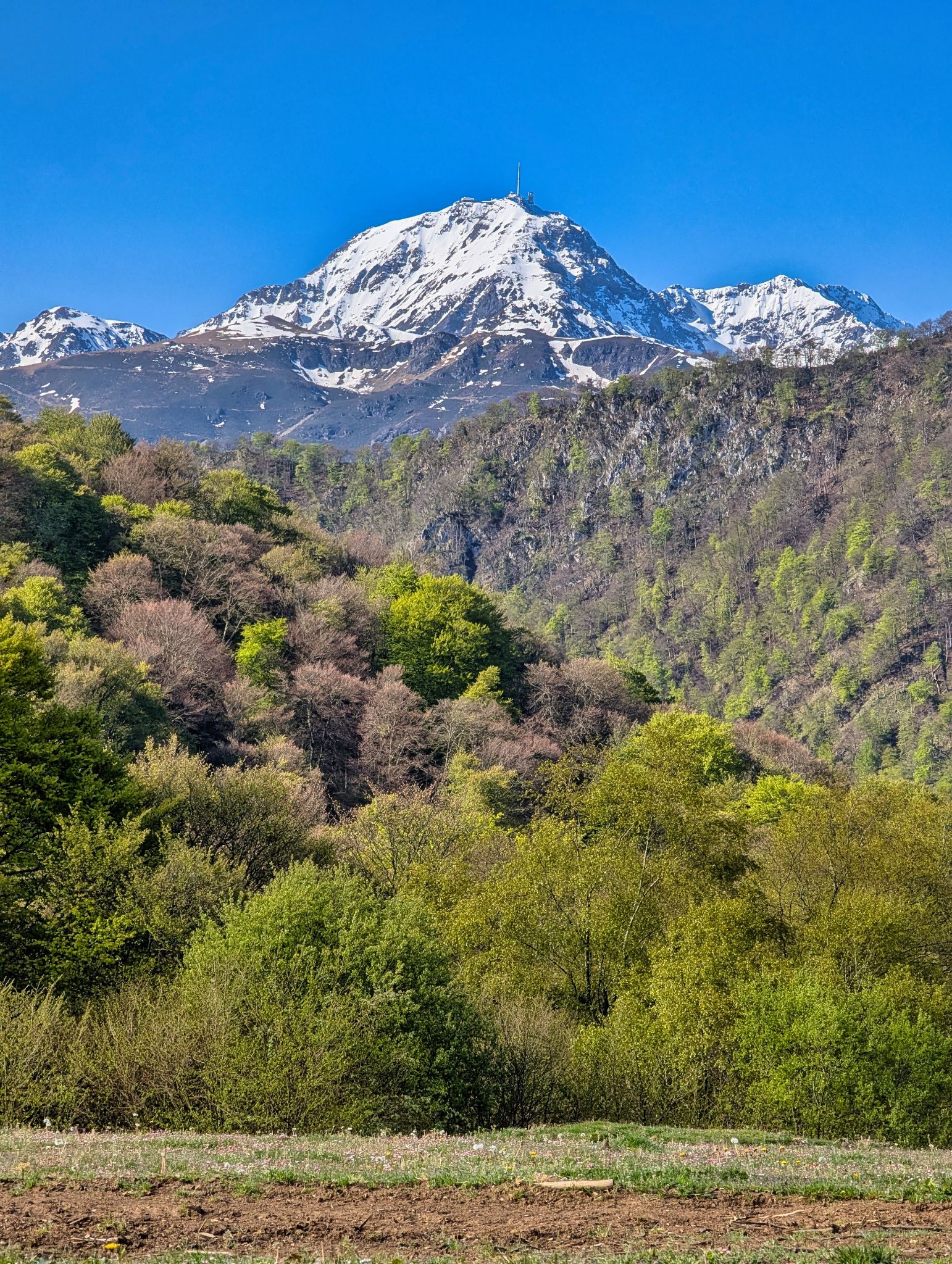 PXL 20250425 081013048