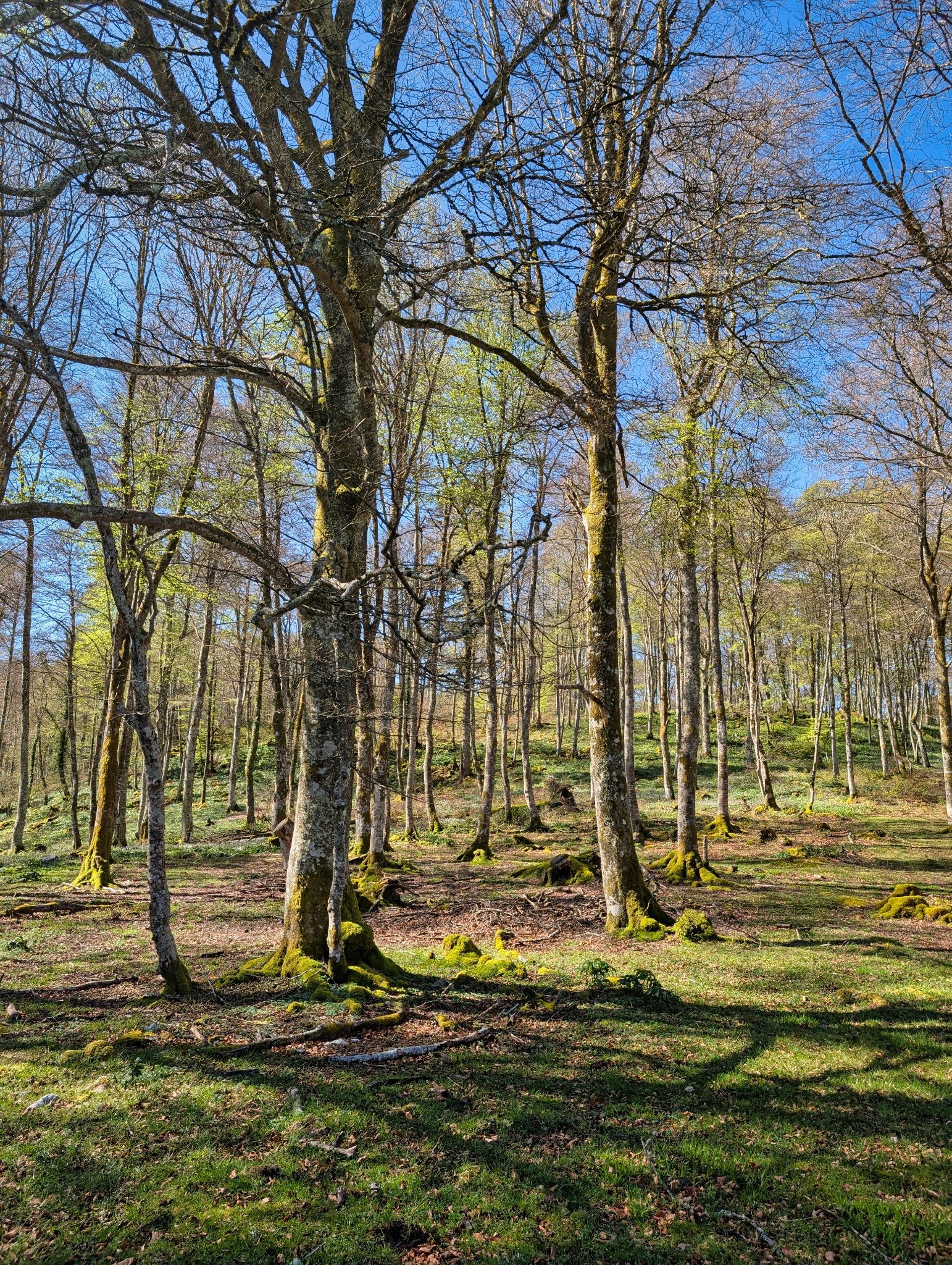 PXL 20250425 085328452