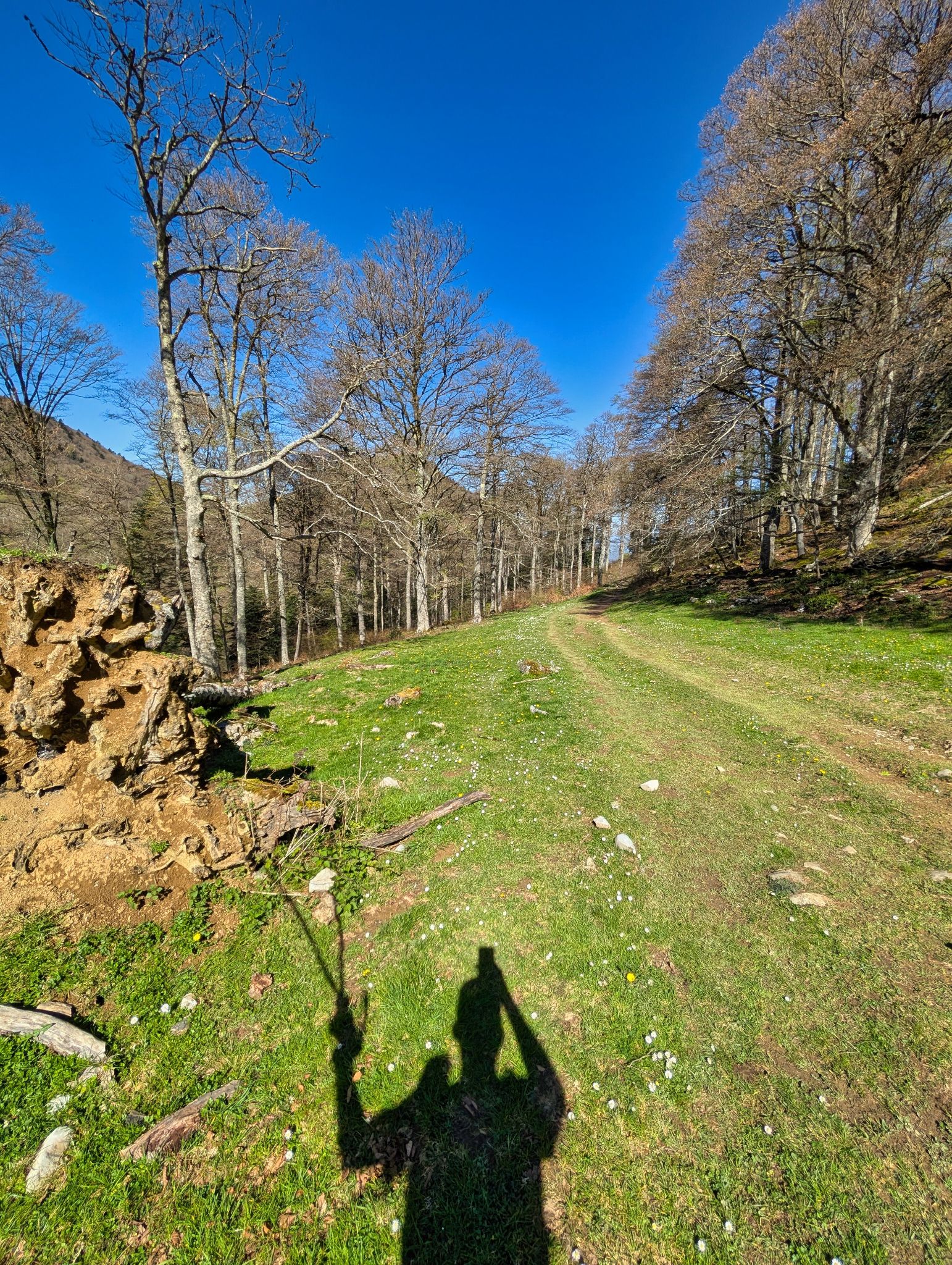 PXL 20250425 092903556