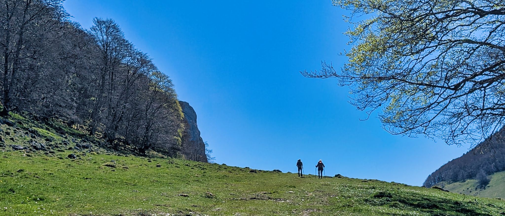 PXL 20250425 092922785