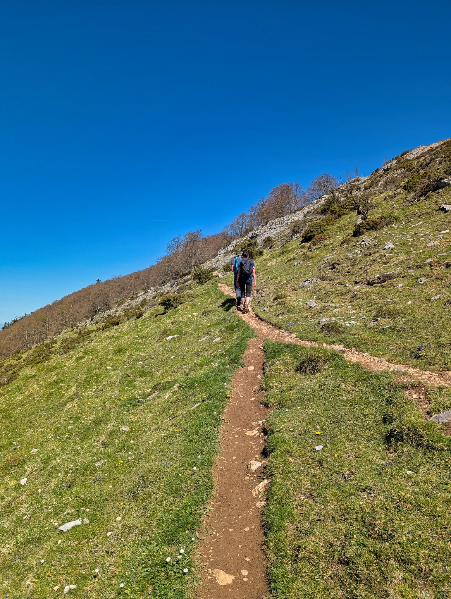 PXL 20250425 094516757