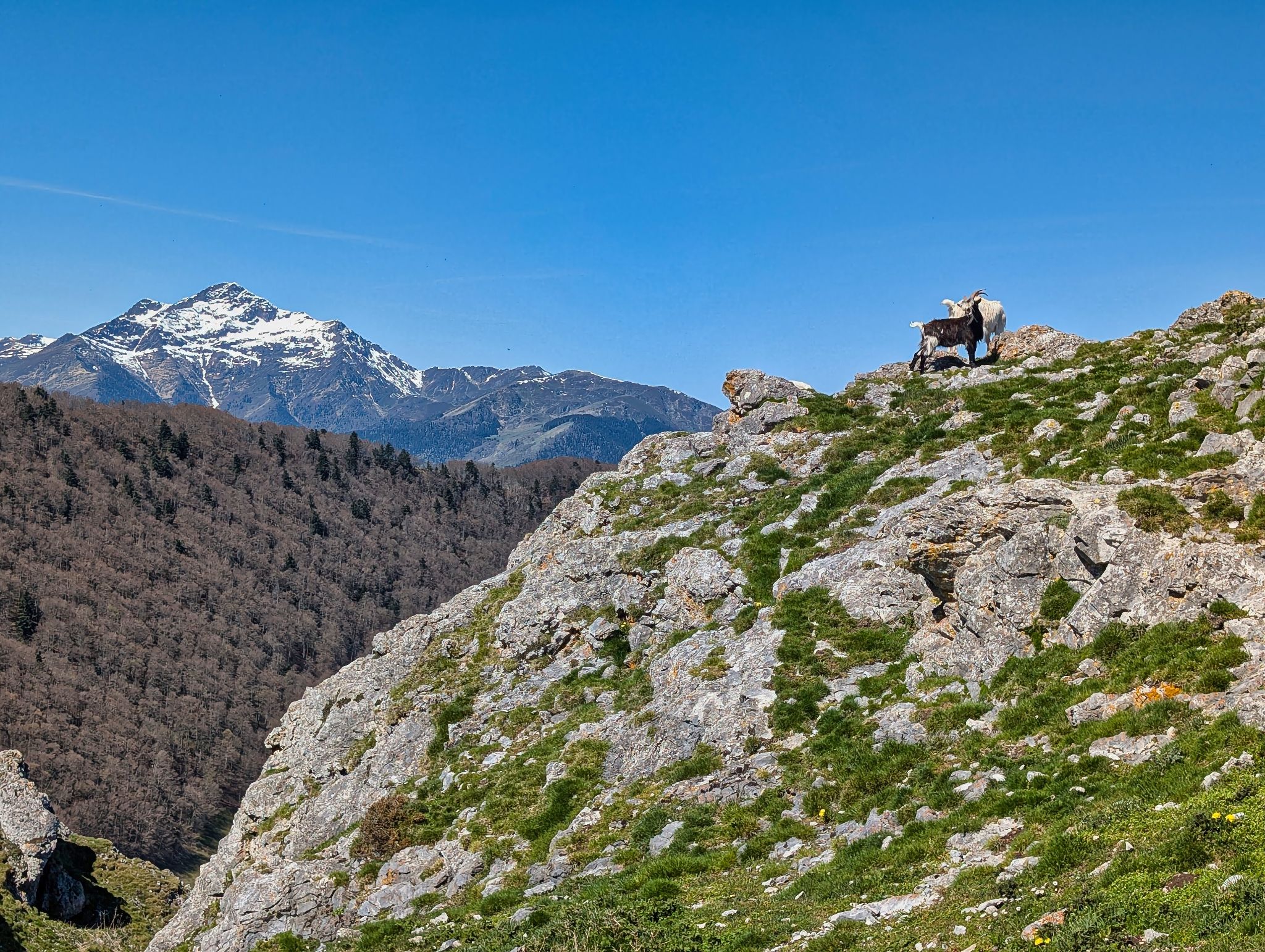 PXL 20250425 101246614