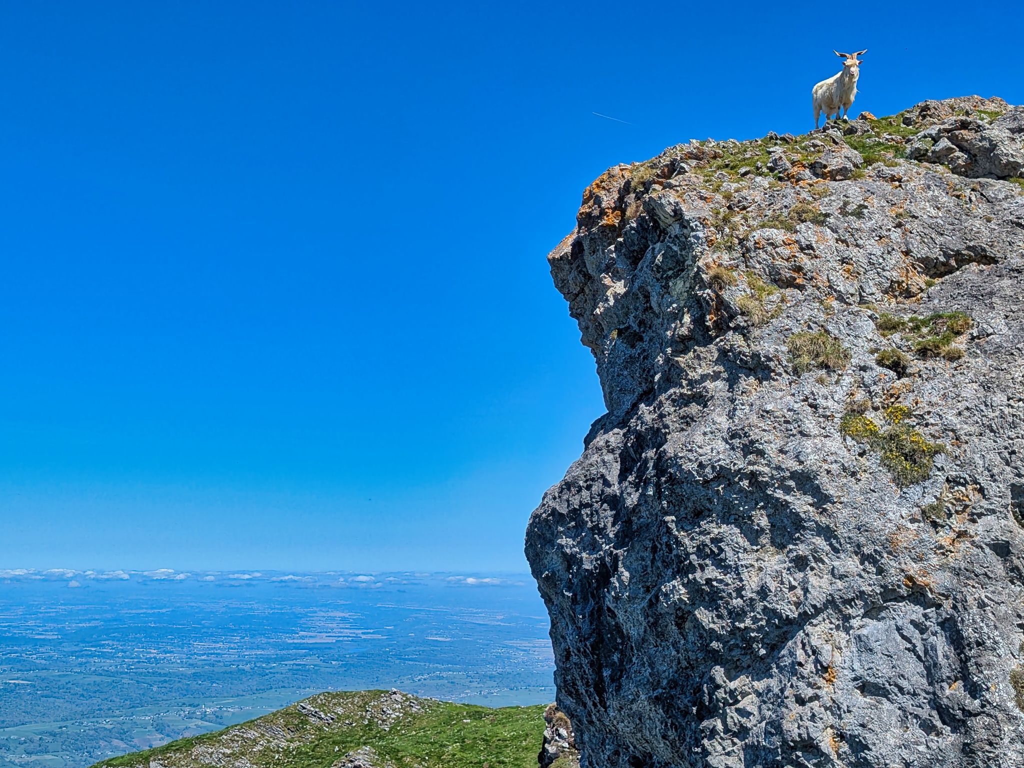 PXL 20250425 105523798