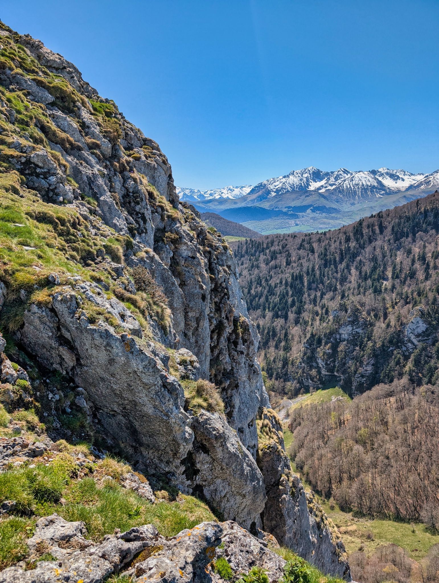 PXL 20250425 105542420