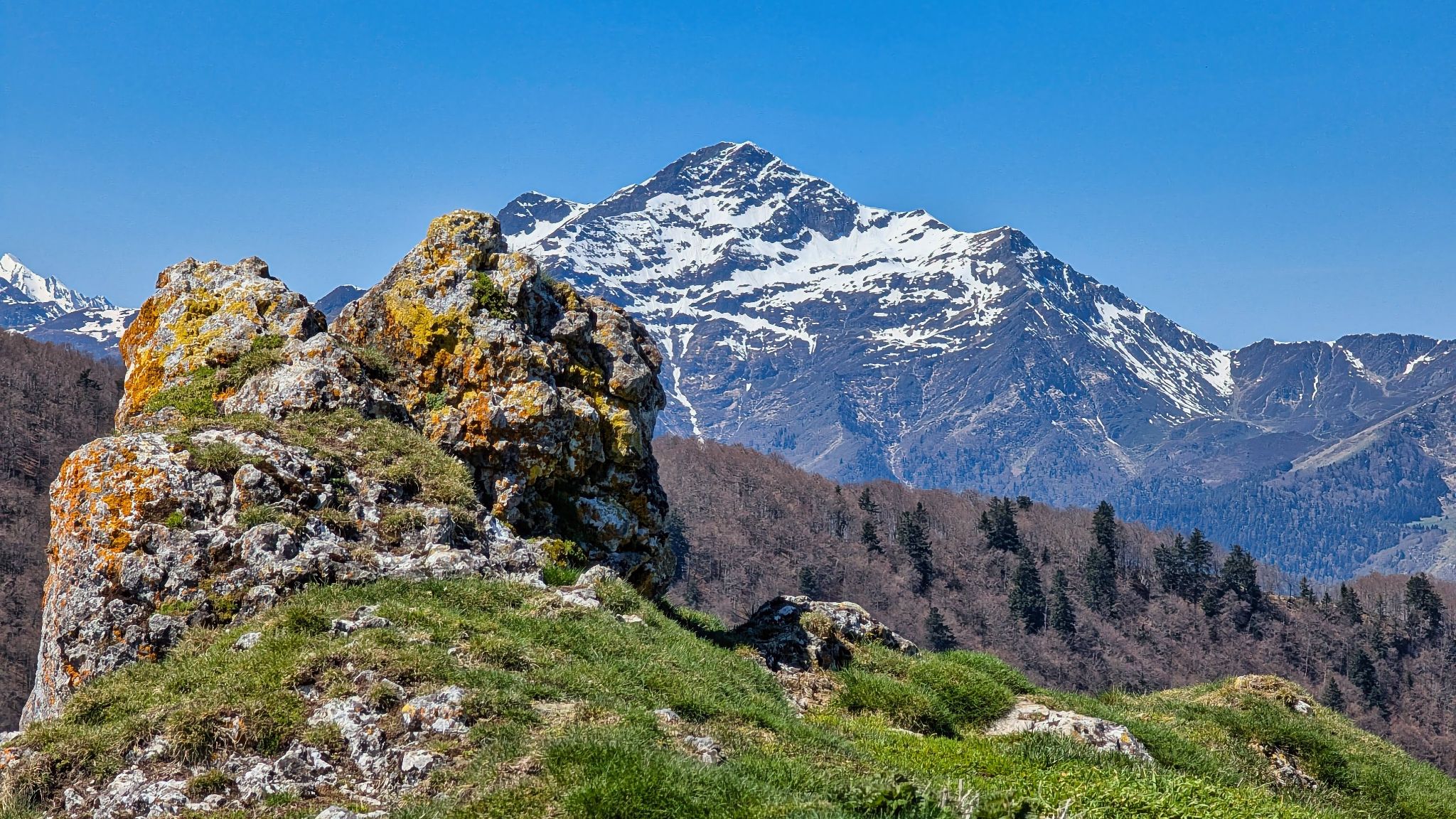 PXL 20250425 105557555