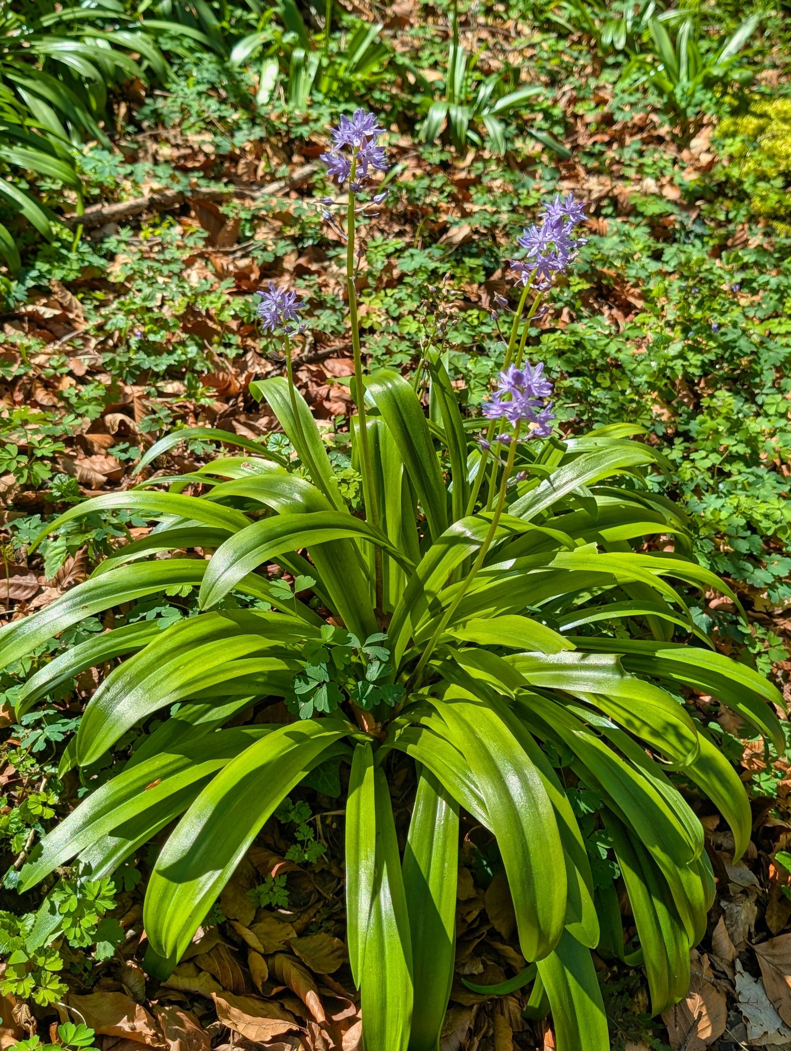 PXL 20250425 121702337