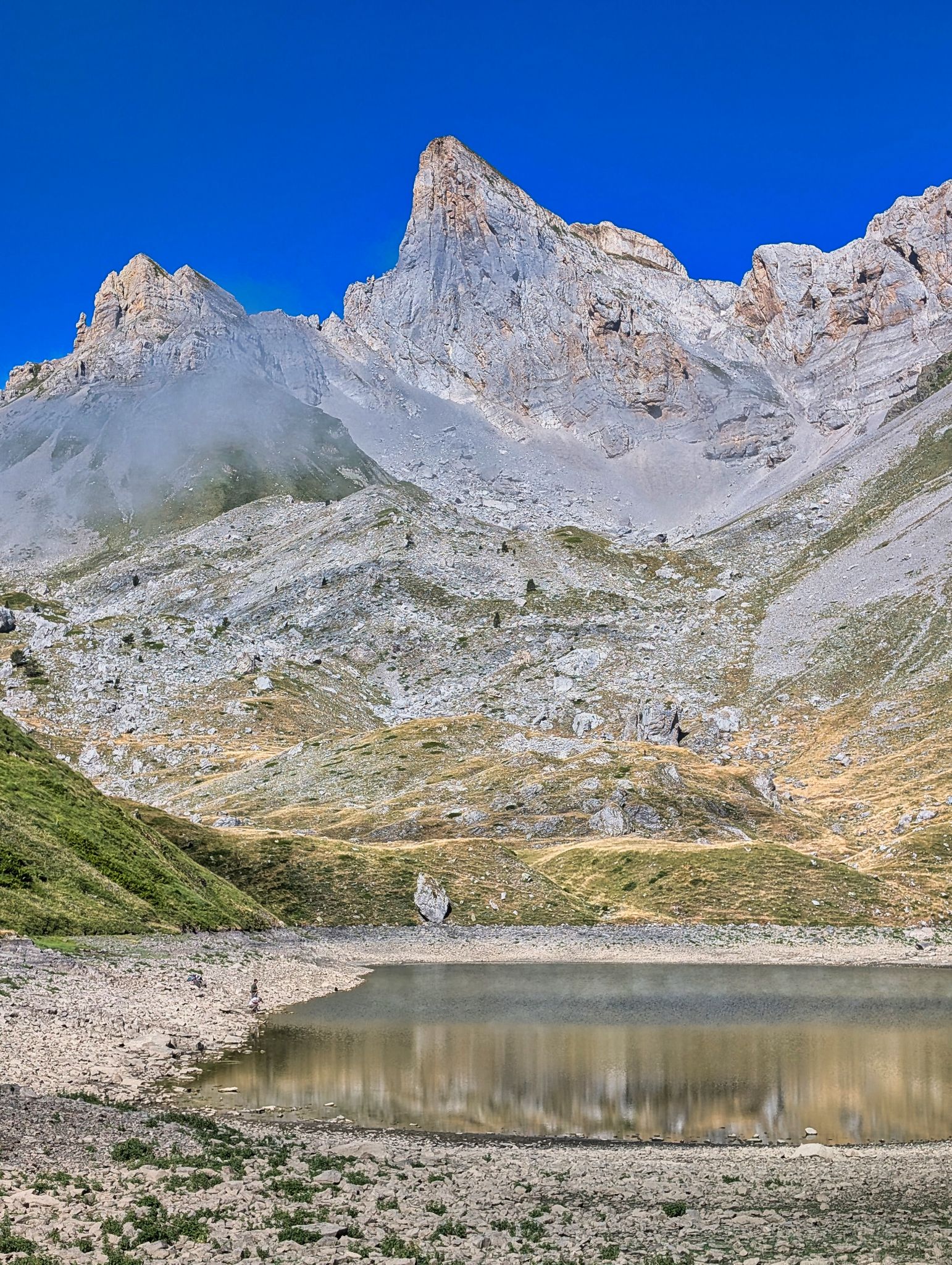 PXL 20250708 082239522